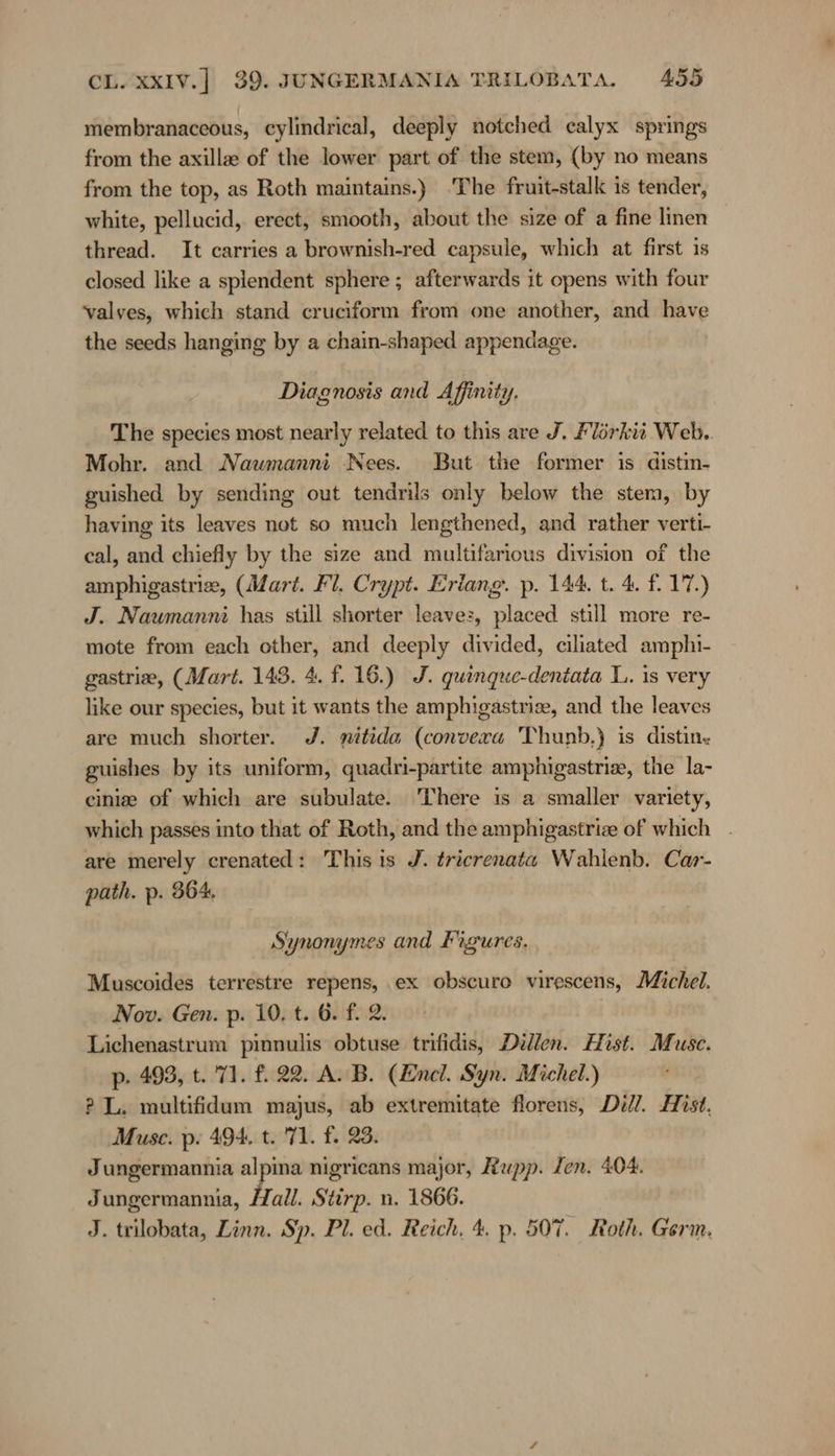 membranaceous, cylindrical, deeply notched calyx springs from the axilla of the lower part of the stem, (by no means from the top, as Roth maintains.) ‘The fruit-stalk is tender, white, pellucid, erect, smooth, about the size of a fine linen | thread. It carries a brownish-red capsule, which at first ıs closed like a spiendent sphere ; afterwards it opens with four valves, which stand cruciform from one another, and have the seeds hanging by a chain-shaped appendage. Diagnosis and Affinity. The species most nearly related to this are J. Florkit Web. Mohr. and Nawmanni Nees. But the former is distin- guished by sending out tendrils only below the stem, by having its leaves not so much lengthened, and rather verti- cal, and chiefly by the size and multifarious division of the amphigastrie, (Mart. Fl. Crypt. Eriang. p. 144. t. 4. f. 17.) J. Naumanni has still shorter leave:, placed still more re- mote from each other, and deeply divided, ciliated amphi- gastrie, (Mart. 143. 4. f. 16.) J. quinque-dentata L. is very like our species, but it wants the amphigastrise, and the leaves are much shorter. J. nitida (convera Thunb.) is distin. guishes by its uniform, quadri-partite amphigastrie, the la- einie of which are subulate. There is a smaller variety, which passes into that of Roth, and the amphigastrize of which | are merely crenated: This is J. tricrenata Wahlenb. Car- path. p. 364, Synonymes and Figures. Muscoides terrestre repens, ex obscuro virescens, Michel. Nov. Gen. p. 10, t. 6. f. 2. Lichenastrum pinnulis obtuse trifidis, Dillen. Hist. Muse. p. 493, t. 71. £22. A.B. (Encl. Syn. Michel.) ? L. multifidum majus, ab extremitate florens, Dill. Hist. Muse. p. 494. t. 71. f. 23. Jungermannia alpina nigricans major, Rupp. Len. 404. Jungermannia, Hall. Stirp. n. 1866. J. trilobata, Linn. Sp. Pl. ed. Reich, 4. p. 507. Roth. Germ.