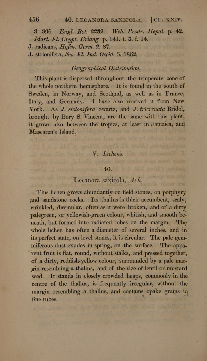 3. 396. Engl. Bot. 2232.. Web. Prodr. Hepat. p. 42. Mart. Fl. Crypt. Erlang p. 141. t. 3. f. 14. J. radıcans, Hofm. Germ. 2. 87. | J. stolonifera, Sw. Fl. Ind. Occid. 3. 1862, Geographical Distribution. This plant is dispersed throughout the temperate zone of the whole northern hemisphere. It is found in the south of Sweden, in Norway, and Scotland, as well as in France, © Italy, and Germany. I have also received it from New York. As J. stolonifera Swartz, and J. tricrenata Bridol, brought by Bory S. Vincent, are the same with this plant, it grows also between the tropics, at least in Jamaica, and Mascaren’s Island. V. Lichens. 40. Lecanora saxicola, Ach. This lichen grows abundantly on field-stones, on porphyry and sandstone rocks. Its thallus is thick accumbent, scaly, wrinkled, dissimilar, often as it were broken, and of a dirty palegreen, or yellowish-green colour, whitish, and smooth be- neath, but formed into radiated lobes on the margin. The whole lichen has often a diameter of several inches, and in its perfect state, on level stones, it is circular. The pale gem- miferous dust exudes in spring, on the surface. The appa- ‘rent fruit is flat, round, without stalks, ‘and pressed together, of a dirty, reddish-yellow colour, surrounded by a pale mar- gin resembling a thallus, and of the size of lentil or mustard seed. It stands in closely crowded heaps, commonly in the centre of the thallus, is frequently irregular, without. the margin resembling a thallus, and contains opake grains in fine tubes.