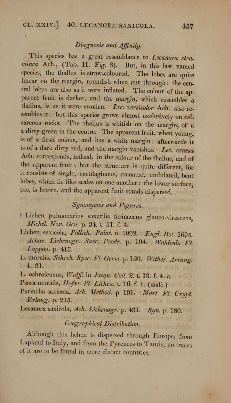 Diagnosis and Affinity. This species has a great resemblance to Lecanora stra. minea Ach., (Tab. II. Fig. 3). But, in this last named specics, the thallus is straw-coloured. The lobes are quite linear on the margin, roundish when cut through: the cen- tral lobes are also as it were inflated. The colour of the ap- parent fruit is darker, and the margin, which resembles a thallus, is as it were swollen. Lec. versicolor Ach. also re. sembles it : but.this species grows almost exclusively on cal- careous rocks. The. thallus is whitish on the margin, of a a dirty-green in the centre. The apparent fruit, when young, is of a flesh colour, and has a white margin: afterwards it is of a dark dirty red, and the margin vanishes. Lec. crassa Ach. corresponds, indeed, in the colour of the thallus, and of the apparent fruit; but the structure is quite different, for it consists of single, cartilaginous, crenated; undulated, bent lobes, which lie like scales on one another: the lower surface, too, is brown, and the apparent fruit stands dispersed, | Synonymes and Figures. ? Lichen pulmonarius saxatilis farinaceus glauco-virescens, Michel. Nov. Gen. p. 34. t. 51. f. 4. Lichen saxicola, Pollich. Palat. n. 1098. Engl. Bot. 1695. Achar. Lichenogr. Suec. Prodr. p. 104. Wahlenb. Fi Lappon. p. 415. . L. muralis, Schreb. Spec. Fl. Germ. p. 180. Wither. Arrang. - 4, 31. | | | L. ochroleucus, Wulf! in Jacqu. Coll. 2. t. 13. f. 4. a. Psora muralis, Hofm. Pl. Eichen. t. 16. f. 1. (maleé.) Parmelia saxicola, Ach, Method. p. 191. Mart. Fl. Crypt. Erlang. p. 215. iA Lecanora saxicola, Ach. Lichenogr. p. 431. Syn. p. 180. Geographical Distribution, Although this lichen is dispersed through Europe, from Lapland to Italy, and from the Pyrenees to Tauris, no traces of it are to be found in more distant countries.