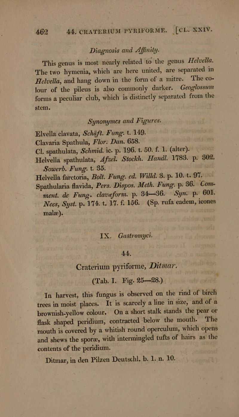 Diagnosis and Affinity. This genus is most nearly related to the genus Helvella. The two hymenia, which are here united, are separated in Helvella, and hang down in the form of a mitre. The co- lour of the pileus is also commonly darker. | Geoglossum forms a peculiar club, which is distinctly separated from the stem. Synonymes and Figures: Elvella clavata, Schäft. Fung. t. 149. Clavaria Spathula, Flor. Dan. 658. | Cl. spathulata, Schmid. ie. p. 196. t. 50. f. 1. (alter). Helvella spathulata, Afzel. Stockh. Handl. 1783. p. 302. Sowerb. Fung. t. 35. | Helvella farctoria, Bolt. Fung. ed. Willd. 8: p. 10. t. 97. Spathularia flavida, Pers. Dispos. Meth. Fung. p: 36. Com- ment. de Fung. claveform. p. 34—36. Syn. p. 601. Nees, Syst. p. 174. t. 17. f. 156. (Sp. rufa eadem, icones male). bts | IX. Gastromyci. | AA. Craterium pyriforme, Ditmar. (Tab. I. Fig. 25-28.) In harvest, this fungus is observed on the rind of birch trees in moist places. It is scarcely a line in size, and of a brownish-yellow colour. Ona short stalk stands the pear or flask shaped peridium, contracted below the mouth. The mouth is covered by a whitish round operculum, which opens and shews the spore, with intermingled tufts of hairs as the contents of the peridium. Ditmar, in den Pilzen Deutschl. b. 1. n. 10.