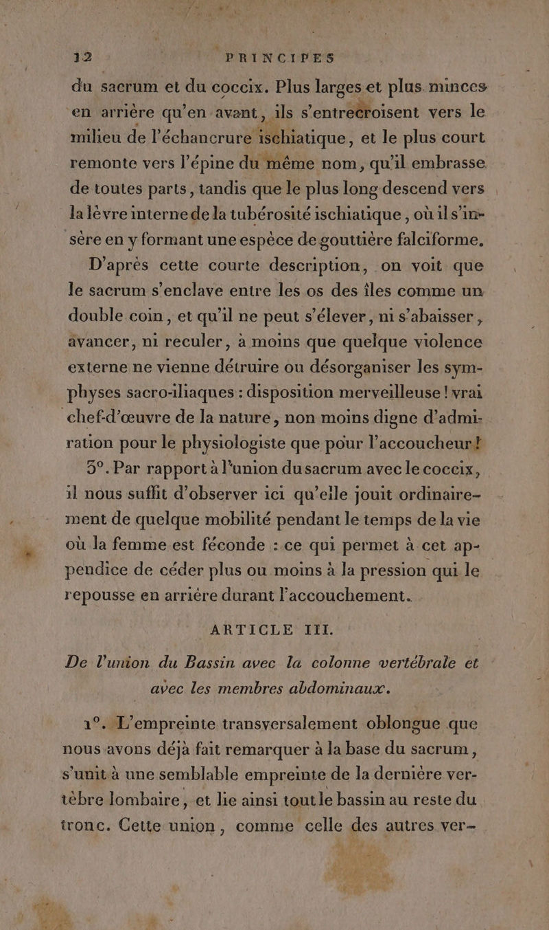 du sacrum et du coccix. Plus larges et plus. minces en arrière qu'en avant, ils s ’entreéroisent vers le milieu de l’échancrure Mbioie: et le plus court remonte vers l’épine du même nom, qu'il embrasse de toutes parts, tandis que le plus long descend vers la lèvre internedela tubérosité ischiatique , ou ils’in- sère en y formant une espèce de goutüère falciforme. D'après cette courte description, on voit que le sacrum s’enclave entire les os des îles comme un double coin, et qu'il ne peut s'élever, n1 s’abaisser, avancer, n1 reculer, à moins que quelque violence externe ne vienne détruire ou désorganiser les sym- physes sacroliaques : disposition merveilleuse ! vrai chef-d'œuvre de la nature, non moins digne d’admi: ration pour le physiologiste que pour l’accoucheurt 5°. Par rapport à l'union dusacrum avec le cocaix, 11 nous suflit d'observer ici qu’eile jouit ordinaire- ment de quelque mobilité pendant le temps de la vie où la femme est féconde : ce qui permet à cet ap- pendice de céder plus ou moins à la pression qui le repousse en arriére durant l'accouchement. ARTICLE III. De l’urion du Bassin avec la colonne vertébrale et avec les membres abdominaux. 1°. L'empreinte transversalement oblongue que nous avons déjà fait remarquer à la base du sacrum, s’unit à une semblable empreinte de la dernière ver- tèbre lombaire , et lie ainsi tout le bassin au reste du tronc. Cette union, comme celle des autres ver- Le