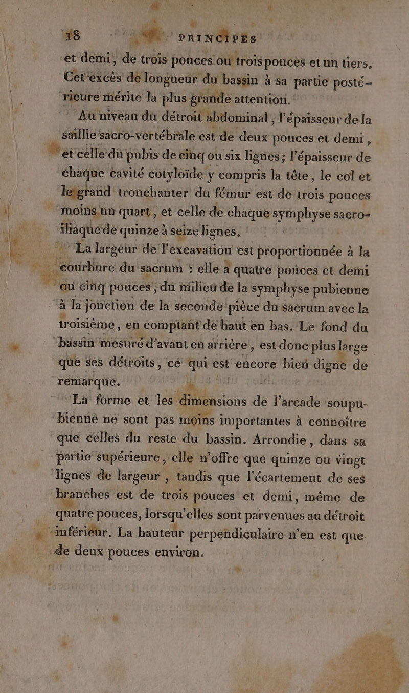 sie As FR | ee 7 nn (PRINCIPES et demi, de trois pouces!où trois pouces et un tiers, Cet'excès de longueur du bassin à sa partie posté ricure mérite la plus grande attention. Au niveau du détroit abdominal , l'épaisseur de la saillie sacro-vertébrale est de deux pouces et demi, etcelle du pubis de cinq ou six lignes; ; l'épaisseur de chaque cavité cotyloïde ÿ compris la tête, le col et léigranid tronchantier du fémur est de trois pouces Moins un quart , et celle de chaque DE di sacro= ana de quinze à seize lignes. ‘La largeur del excavation est proportionnée à la | courbure du sacrum : elle a quatre pouces et demi où cinq pouces; du milieu de la symphyse pubienne à la; jonction de la seconde pièce du säcrum avec la tr ‘OISIÈME , en comptant de haüt en bas. Le fond du “bässin mesuré d'avant en ar ricre , est donc plus large que ses détronts, cé vi est encore bieñ digne de remarque. k | La forme et les dimensions de l’arcade : ‘soupu- bienne ne sont pas moins importantes à connoître que celles du reste du bassin. Arrondie, dans sa partie supérieure , ‘elle n’offre qué quinze ou vingt branches est dé trois pouces et demi, même de quatre pouces, lorsqu' elles sont parvenues au détroit de deux pouces environ.