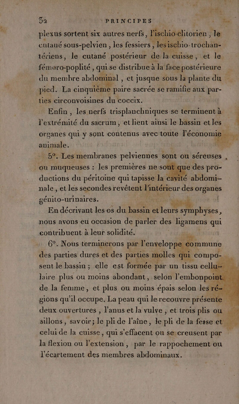 Cr £ ne OUR ee 32 PRINCIPES plexus sortent six autres nerfs, l'ischio: liiorien le cutané sous-pelvien , les fessiers , les ischio- REA tériens, le cutané postérieur a la cuisse, et le fémaro- poplité , qui se distribueala face postérieure du membre abdominal , et jusque sous la plante du pied. La cinquième paire sacrée se ramifie aux par- ües circonvoisines du coccix. Enfin , les nerfs trisplanchniques se terminent à | l'extrénnté du sacrum , et lient ainsi le bassin et les ‘ organes qui y sont contenus avec toute ne , alinéa 50 158 : 59, Les membranes ne ce sont ou séreuses * at Œ ducuons du péritoine qui tapisse la cavité nale , et les secondes revêtent li intérieur des organes aénito-urinaires. 4 be 4 | En décrivant les os du nt et lu symphyses, nous avons eu occasion de parler Frs ligamens qui contribuent à leur solidité. 6°. Nous ternunerons par l'enveloppe € commune de parties dures et des parties molles qui compo- sent le bassin ; elle est formée p par un tissu cellu= laire plus ou moins abondant, selon l’embonpoi de la femme, et plus ou moins épais selon les r gions qu'il occupe. La peau qui le recouvre présente deux ouvertures , l'anus et la vulve , et trois plis ou e sillons, savoir; le pli de l’aîne, le pli de la fesse et. NS celui de la cuisse, qui s’effacent ou se:creusent par si la flexion ou l'extension, par le rappochement ou l'écartement des membres abdominaux.