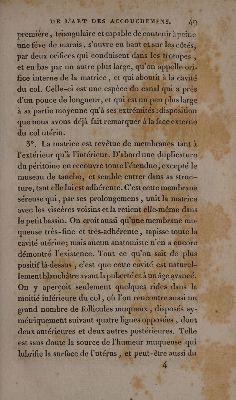 « DE L'ART DES ACCOUCHEMENS. 4o une fève de marais, s'ouvre en haut etsur les côtés, : par deux orifices qui conduisent dans s Les trompes is fice interne de la matrice, et qui QE À à la cavité. du col. Celle-ci est'une espèce de canal ( qui a près RER d’un pouce de HBUERCe et qui est un peu plus large que nous avons déjà fait remarquer à la face extéme | du col utérin, ; 4h É à Er 3°. La matrice est revêtue de era brant tant à du péritoine en recouvre toute l'étendue &gt; excepté lé museau de tanche, , et semble entrer dans sa struc— ture, tant elle luiest adhérente. C’est cette membrane séreuse qui ; Her ses prolongemens , unit là matrice avec les viscères voisins et la reuent elle-même dans queuse trés-fine et très-adhérente, he toute la cavité utérine; mais aucun anatomisie n’en a encore démontré l'existence. Tout ce qu on sait de plus positif là-dessus , c’est que cette cavité est naturel- lementblanchâtre avant la puberté et à un âge avancé. On y apercoit seulement quelques rides dans la moitié inférieure du col, où l’on rencontre aussi uni grand nombre de follicules muqueux , , disposés Sy- métriquemeñt suivant quatre lignes opposées , donë deux antérieures et deux autres postérieures. Telle est sans doute la source de l'humeur muqueuse qui 4