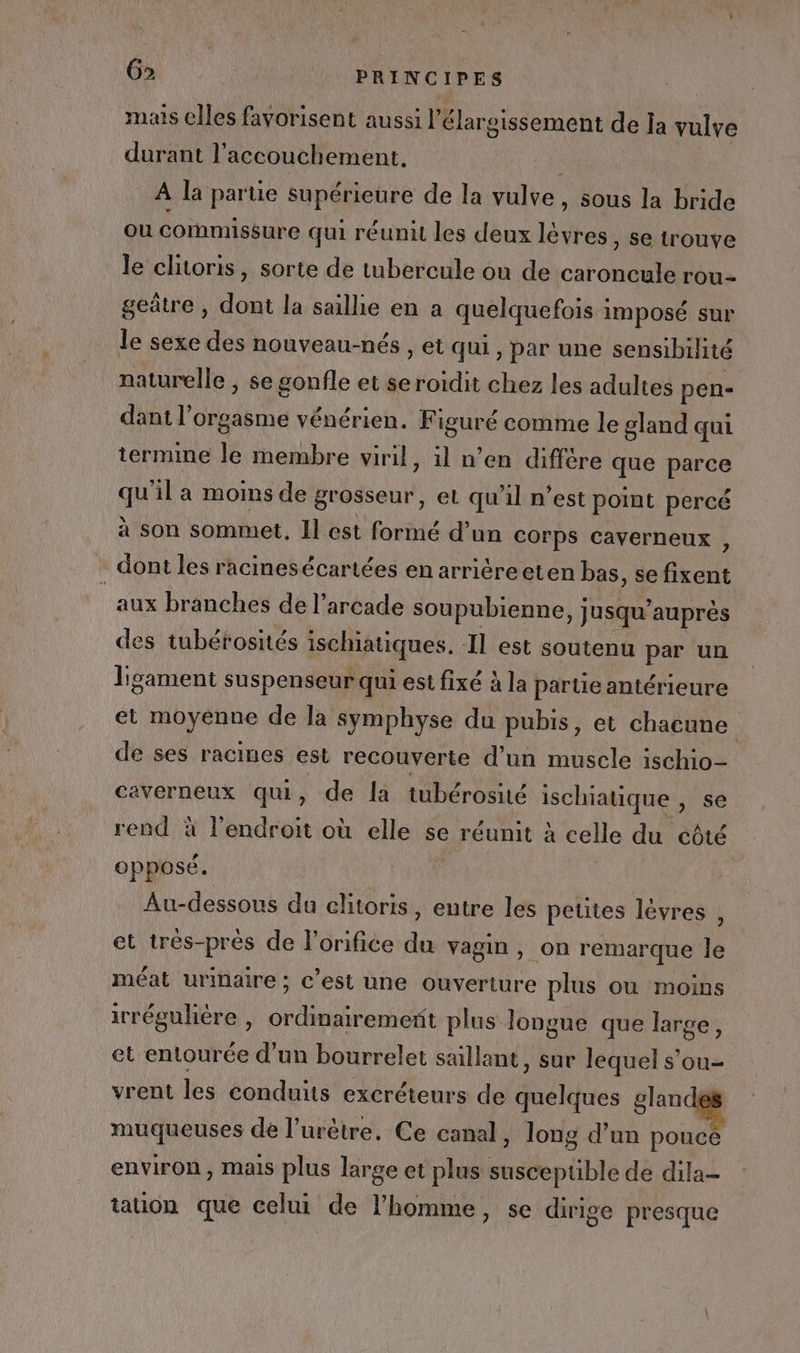 mais elles favorisent aussi l'élargissement de la vulve durant l'accouchement, A la partie supérieure de la vulve , sous la bride ou Coïnmiskure qui réunit les deux lèvres , Se trouve le clitoris, sorte de tubercule ou de caroncule rou- geâtre , dont la saillie en a quelquefois imposé sur le sexe des nouveau-nés , et qui, par une sensibilité naturelle ; se gonfle et se roidit chez les adultes pen- dant l'orgasme vénérien. Figuré comme le gland qui termine le membre viril, il n’en différe que parce qu'il a moins de grosseur, et qu’il n’est point percé à son sommet, Il est formé d’un COrps Caverneux , . dont les racimesécartées en arrièreeten bas, se fixent aux branches de l’arcade soupubienne, Jusqu’auprès des tubéfosités ischiatiques. Il est soutenu par un lisament suspenseur qui est fixé à la partie antérieure et moyenne de la symphyse du pubis, et chacune de ses racines est recouverte d’un muscle ischio- caverneux qu, de la tubérosité ischiatique , se rend à l'endroit où elle se réunit à celle du côté opposé. | Au-dessous du clitoris, entre les petites lèvres , et très-près de l'orifice du vagin , on remarque le méat urinaire; c’est une ouverture plus ou moins irrégulière | ordinairement plus longue que large, et entourée d’un bourrelet saillant, sur lequel s’ou- vrent les conduits excréteurs de quelques glanc muqueuses de l’urêtre. Ce canal, long d’un pouce environ, mais plus large et plus susceptible de dila- tation que celui de l’homme, se dirige presque