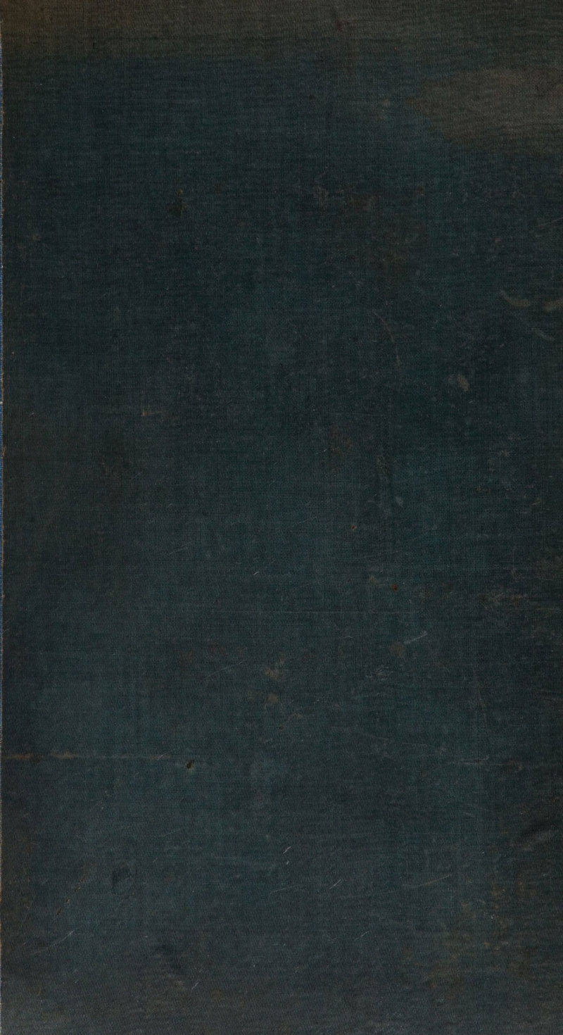 th iN) iit eA te ca HoH itiate) dh Ht eH f i i Hi | Le HH Hale: i} iP i i Ht He HHI wy Hi i ie a HA Hifi i He Tf ay a Hi; iH | H Hy i } | i ty Hi ii if He Hy} iw) tH Ht i HH i LY A h My i i = SSS SSS Ss = Hl i . Hf HEN if hi Ho pf ae Ai Hasan ey if vi i it Bt ith Hh = SSS ; il My Hd! Ahh We i i Mf Hi i Hi if ne _ i ii if Ui CL