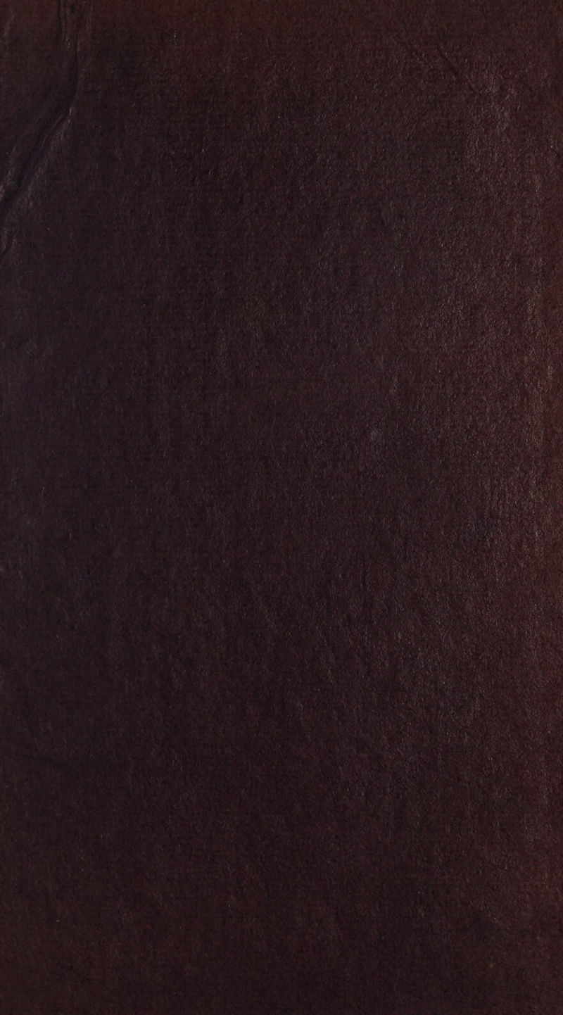 EE “et A #: 4 à Qi 114 AUS ‘M Al L SE L a ! f L* * = Ed FN) DATE a ! é AA Fm A LES , MER Î