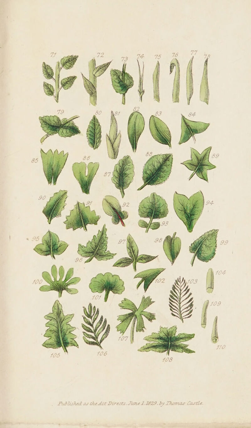 mas Castle b Ture L,LEA9, by L) Srv Drtrect. lushed as the Act A T- Lé P;