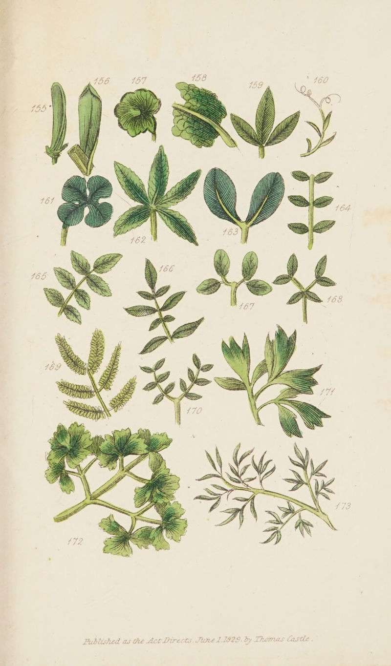 a 372 od 4 7 r ; 4 , b bTr' ch or, App rr, , : 7 LFUCUSIER GS GLE LAC LUP EC UME L OY ‘ thd HA