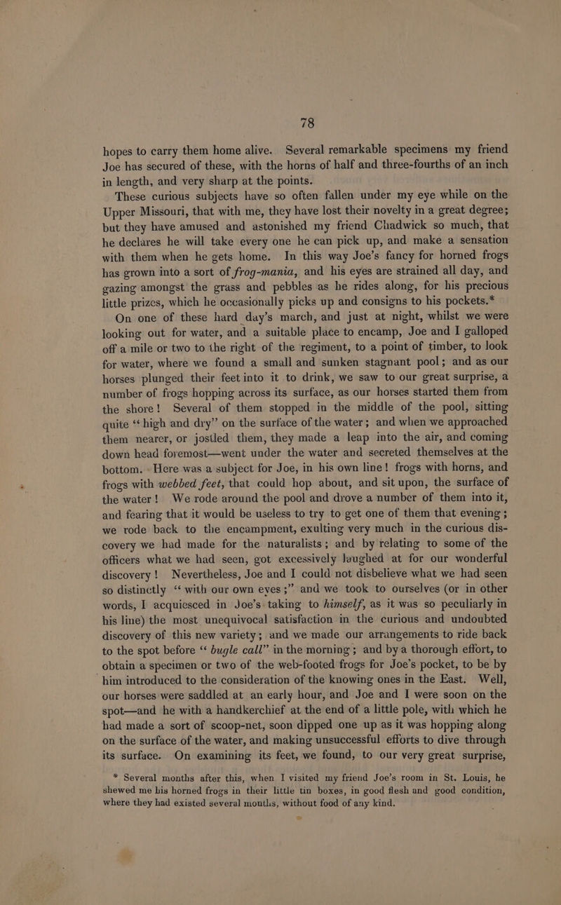 hopes to carry them home alive. Several remarkable specimens my friend Joe has secured of these, with the horns of half and three-fourths of an inch in length, and very sharp at the points. These curious subjects have so often fallen under my eye while on the Upper Missouri, that with me, they have lost their novelty in a great degree; but they have amused and astonished my friend Chadwick so much, that he declares he will take every one he can pick up, and make a sensation with them when he gets home. In this way Joe’s fancy for horned frogs has grown into a sort of frog-mania, and his eyes are strained all day, and gazing amongst the grass and pebbles as he rides along, for his precious little prizes, which he occasionally picks up and consigns to his pockets.* On one of these hard day’s march, and just at night, whilst we were looking out for water, and a suitable place to encamp, Joe and I galloped off a mile or two to the right of the regiment, to a point of timber, to look for water, where we found a small and sunken stagnant pool; and as our horses plunged their feet into it to drink, we saw to our great surprise, a number of frogs hopping across its surface, as our horses started them from the shore! Several of them stopped in the middle of the pool, sitting quite ‘ high and dry” on the surface of the water; and when we approached them nearer, or jostled them, they made a leap into the air, and coming down head foremost—went under the water and secreted themselves at the bottom. - Here was a subject for Joe, in his own line! frogs with horns, and frogs with webbed feet, that could hop about, and sit upon, the surface of the water! We rode around the pool and drove a number of them into it, and fearing that it would be useless to try to get one of them that evening ; we tode back to the encampment, exulting very much in the curious dis- covery we had made for the naturalists; and by relating to some of the officers what we had seen, got excessively laughed at for our wonderful discovery! Nevertheless, Joe and I could not disbelieve what we had seen so distinctly ‘‘ with our own eyes ;” and we took to ourselves (or in other words, 1 acquiesced in Joe’s taking to himself, as it was so peculiarly in his line) the most unequivocal satisfaction in the curious and undoubted discovery of this new variety; and we made our arrangements to ride back to the spot before “‘ bugle call” in the morning ; and bya thorough effort, to obtain a specimen or two of the web-footed frogs for Joe’s pocket, to be by him introduced to the consideration of the knowing ones in the East. Well, our horses were saddled at an early hour, and Joe and I were soon on the spot—and he with a handkerchief at the end of a little pole, with which he had made a sort of scoop-net, soon dipped one up as it was hopping along on the surface of the water, and making unsuccessful efforts to dive through its surface. On examining its feet, we found, to our very great surprise, * Several months after this, when I visited my friend Joe’s room in St. Louis, he shewed me his horned frogs in their little tin boxes, in good flesh and good condition, where they had existed several months, without food of any kind. ra]