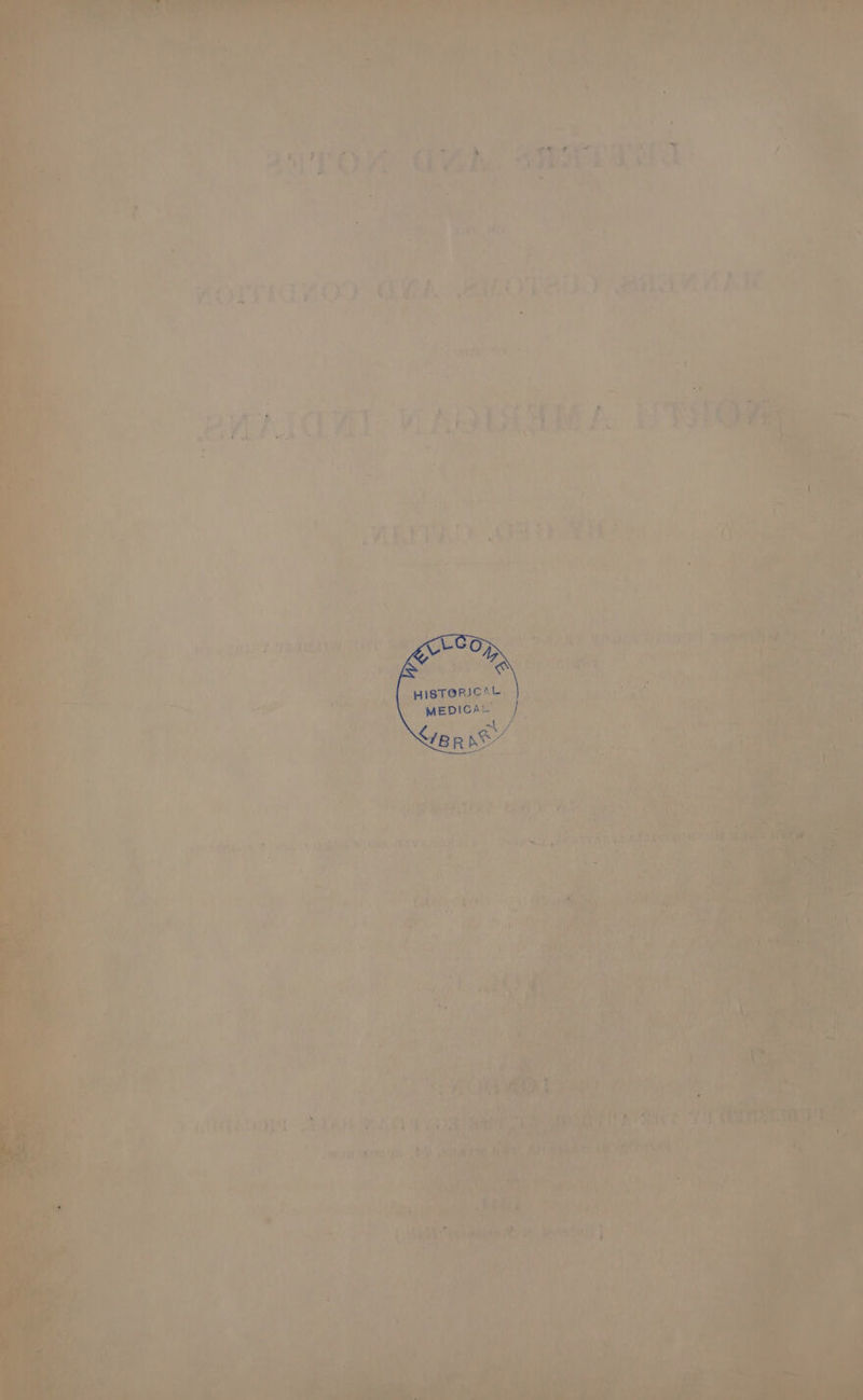 ij 7 4 Dae a 4 ¢ a N , y =