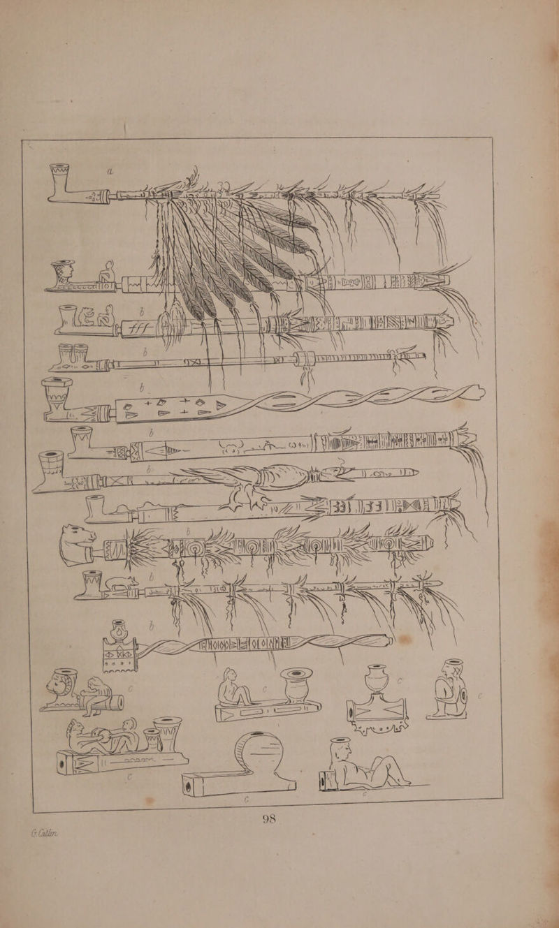 set ieee Se Be PAO) wy , Sy \ en} \ 7 . Wi \ ih IN yt ‘i = <P Ay 3) is lim Ni Y ry 3 ‘ \ =a PS a fangs } wi “p ‘uel ‘ © a caw al f | ‘ ae Ss = ey Ry U | eat ah C f- = ae ee iS aan : jest } Saaee 2 ew ws 6 Callin