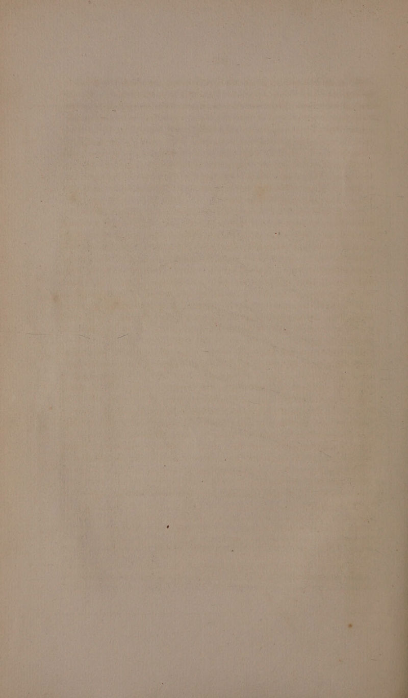 =o wen wil ; ‘ eye