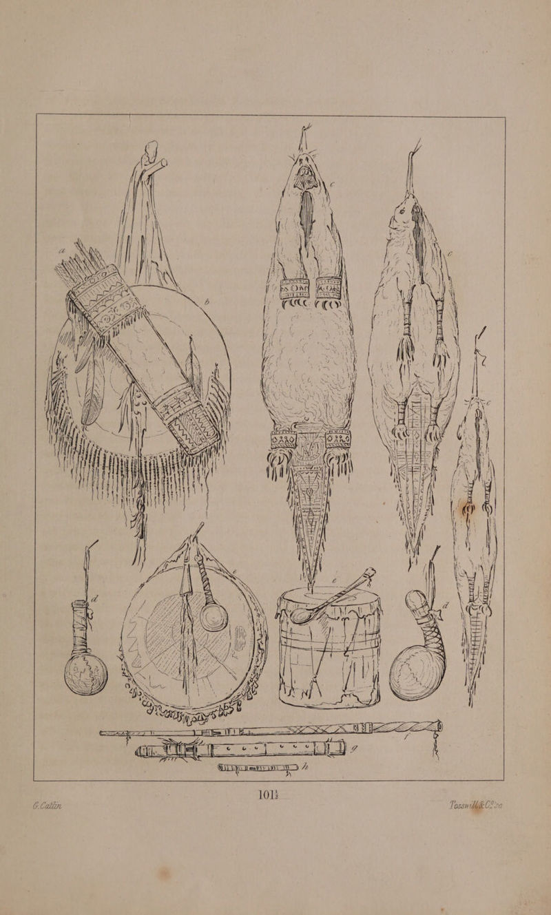 SES Xe Fite oN eee NOs + Lye GS