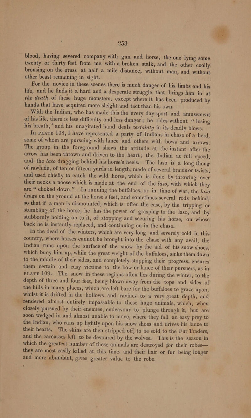 blood, having severed company with gun and horse, the one lying some twenty or thirty feet from me with a broken stalk, and the other coolly brousing on the grass at half a mile distance, without man, and without other beast remaining in sight. For the novice in these scenes there is much danger of his limbs and his life, and he finds it a hard and a desperate struggle that brings him in at the death of these huge monsters, except where it has been produced by hands that have acquired more sleight and tact than his own. With the Indian, who has made this the every day sport and amusement of his life, there is less difficulty and less danger; he rides without «“ losing his breath,” and his unagitated hand deals certainty in its deadly blows. In prate 108, I have represented a party of Indians in chase of a herd, some of whom are pursuing with lance and others with bows’ and arrows. The group in the foreground shews the attitude at the instant after the arrow has been thrown and driven to the heart; the Indian at full speed, and the daso dragging behind his horse’s heels. The laso is a long thong of rawhide, of ten or fifteen yards in length, made of several braids or twists, and used chiefly to catch the wild horse, which is done by throwing over their necks a noose which is made at the end of the laso, with which they are “‘ choked down.” In running the buffaloes, or in time of war, the daso drags on the ground at the horse’s feet, and sometimes several rods behind, so that if a man is dismounted, which is often the case, by the tripping or stumbling of the horse, he has the power of grasping to the laso, and. by stubbornly holding on to it, of stopping and securing his horse, on whose back he is instantly replaced, and continuing on in the chase. In the dead of the winters, which are very long and severely cold in this country, where horses cannot be brought into the chase with any avail, the Indian runs upon the surface of the snow by the aid of his snow shoes, which buoy him up, while the great weight of the buffaloes, sinks them down them certain and easy victims to the bow or lance of their pursuers, as in PLATE 109. The snow in these regions often lies during the winter, to the depth of three and four feet, being blown away from the tops and sides of the hills in many places, which are left bare for the buffaloes to graze upon, whilst it is drifted in the hollows and ravines to a very great depth, and rendered almost entirely impassable to these huge animals, which, when closely pursued by their enemies, endeavour to plunge through it, but are soon wedged in and almost unable to move, where they fall an easy prey to the Indian, who runs up lightly upon his snow shoes and drives his lance to their hearts, The skins are then stripped off, to be sold to the Fur Traders, and the carcasses left to be devoured by the wolves. This is the season in which the greatest number of these animals are destroyed for their robes— they are most easily killed at this time, and their hair or fur being longer and more abundant, gives greater value to the robe.