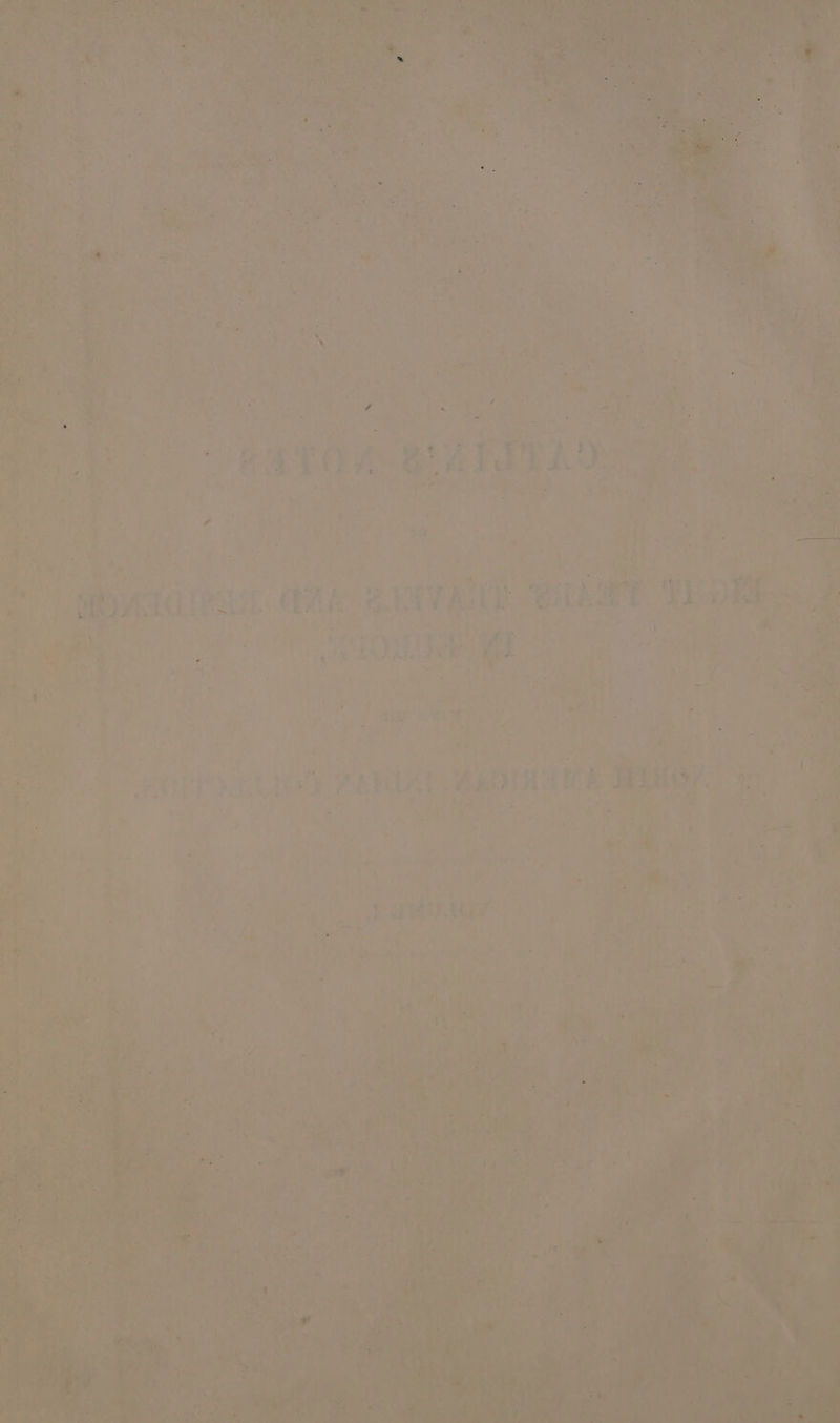 vs et % > cu a ’ » r ; 4 ; y ql * * it iM yf tt ot ‘i A ‘ pS : * R , 4 eed : 4 a