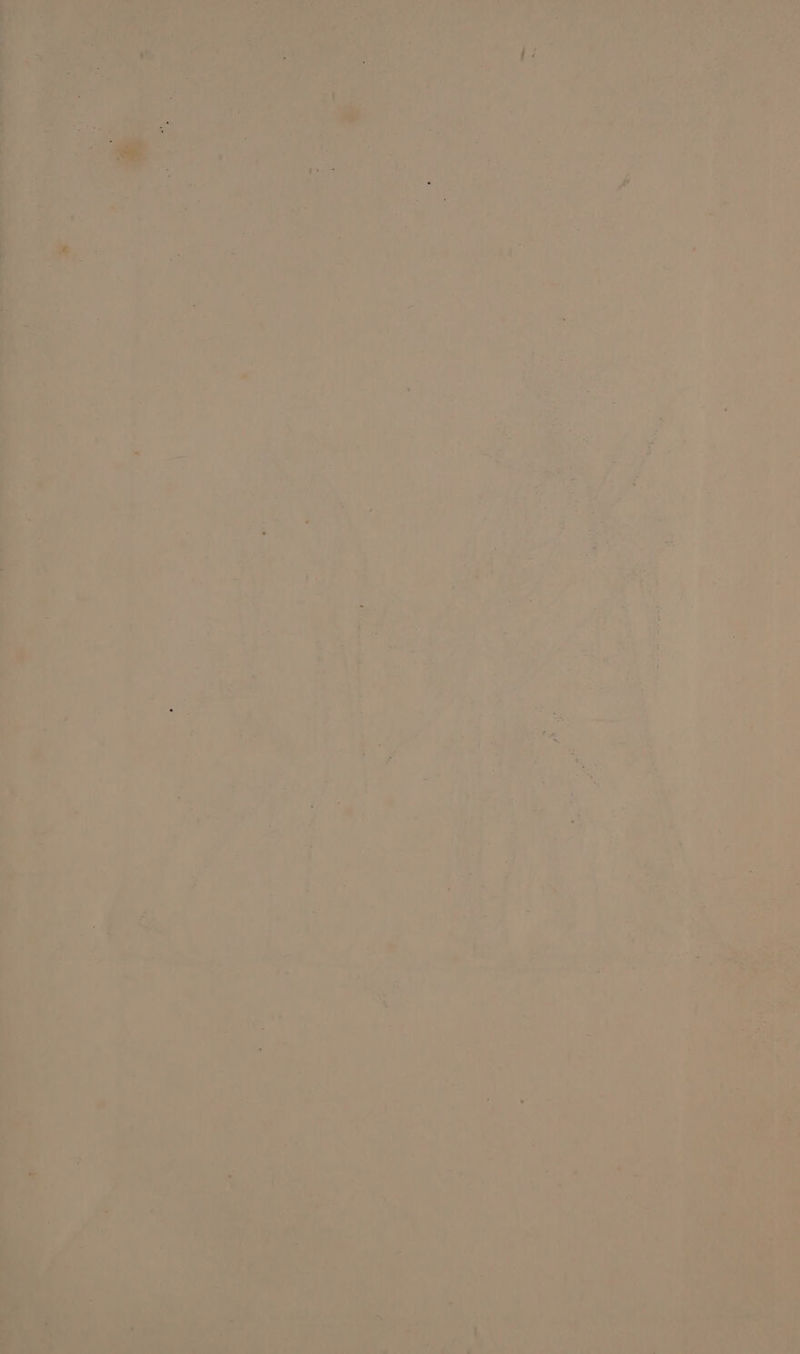 a4 Pe ae rT ee A eke ae bint Renan m1