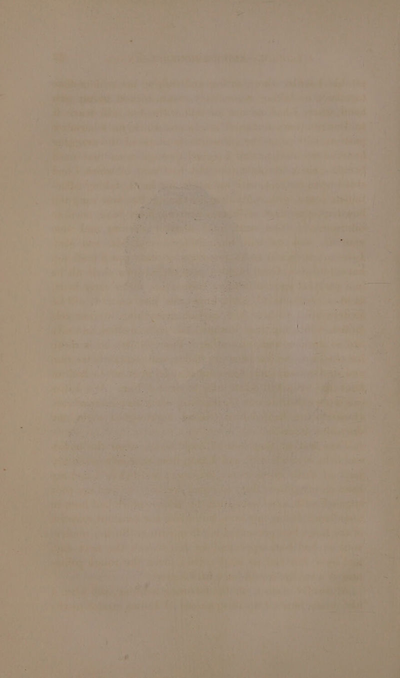 hin Der es ol Ae é nn er. me ae or ae Te vigokl® a “pee aaa Baar thw ih “4 Pyke: it sian ae: + prt: hp is erghs, eee Seay Ole | : me SA aks “ag de SiR eee can weed perme ‘ida lens ul oe hore hae at cin te aed sad esa ial eat pies. x «Tei P 2 shes ee aia en i as i iba Tespee Soyesnt va ar ei, na ae viele Ki Lape et Oa : { > fy aah ¢y fi 4 Fon tn, ~~ ; nai aa f DAs a fan f _ ‘ , a > £ os if] , i : ety a » A a = ie sig ayy,