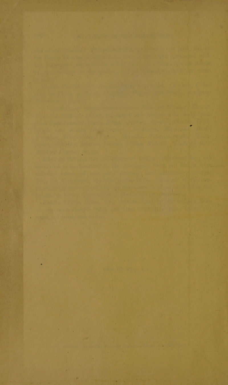 <t —— ... er oe ae 3 ada Se, vs + =p ee, ape : / : * pth te Fates if
