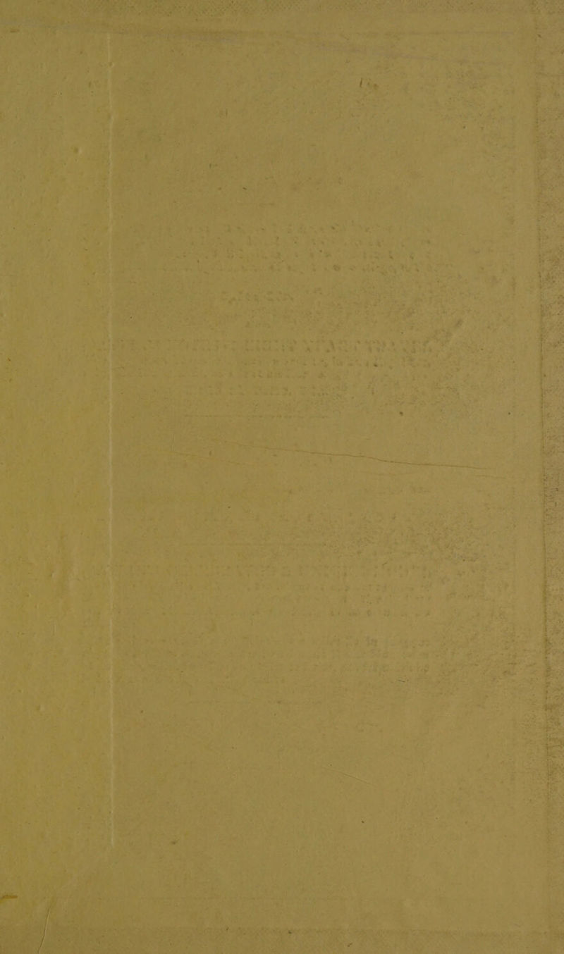 EEE ae ea eh pene rt, Teg »* + i ee ge = Br a ak eS yet aie te LAr Sw ibe See ow chee Shoe 3 bee we a i eee = ee NT tee! eek yn *