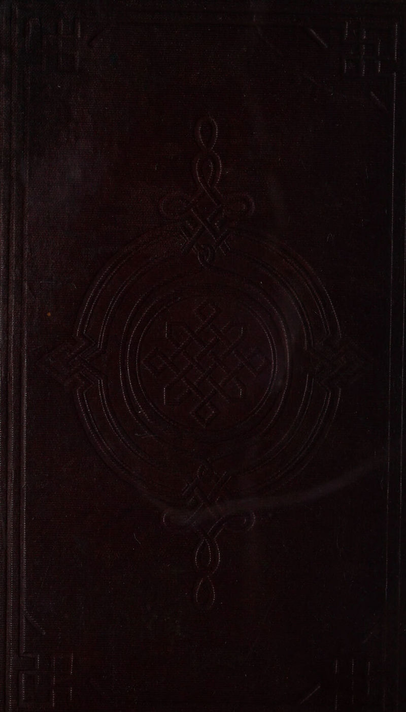 : ne a ge de sce “ = e's wong Rd a esr ~ me : Pp