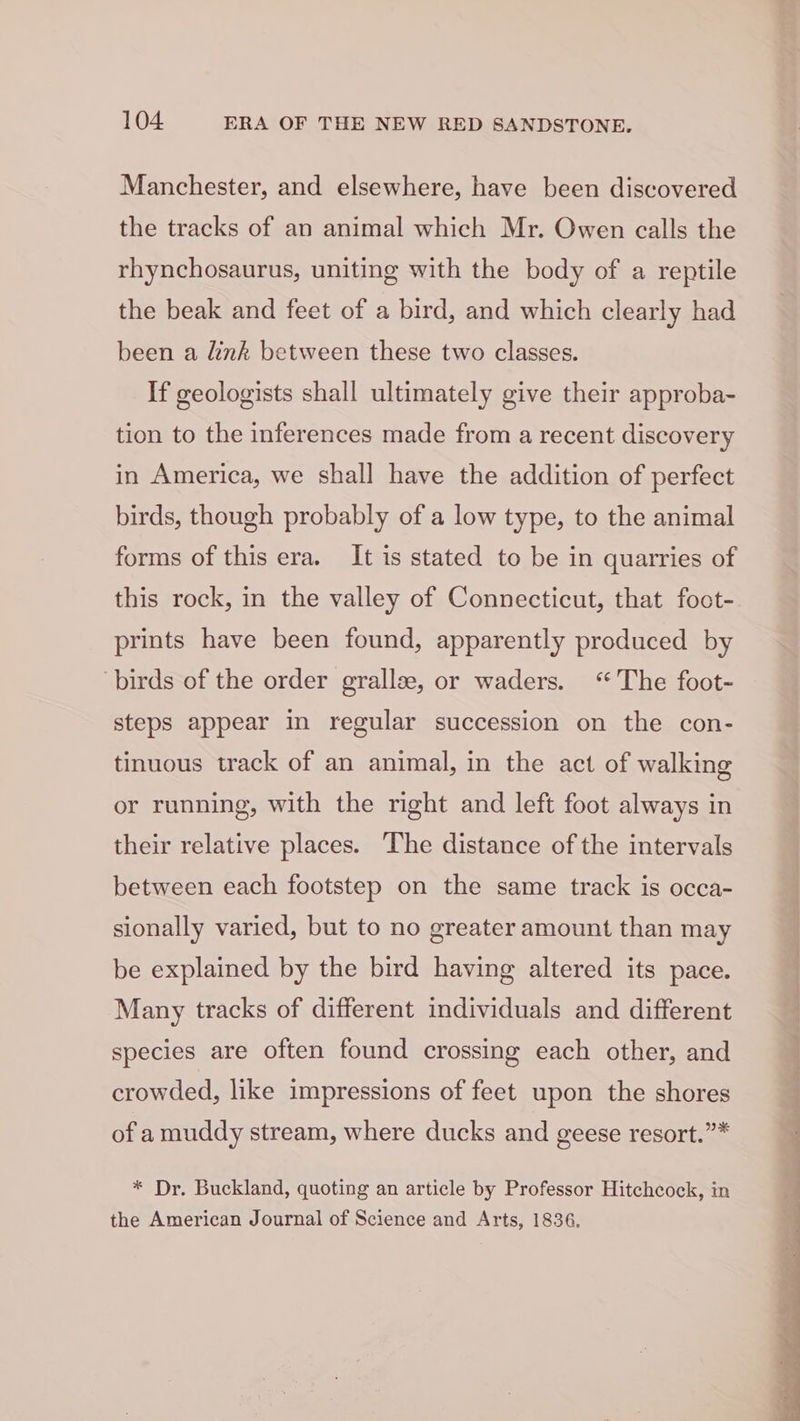Manchester, and elsewhere, have been discovered the tracks of an animal which Mr. Owen calls the rhynchosaurus, uniting with the body of a reptile the beak and feet of a bird, and which clearly had been a link between these two classes. If geologists shall ultimately give their approba- tion to the inferences made from a recent discovery in America, we shall have the addition of perfect birds, though probably of a low type, to the animal forms of this era. It is stated to be in quarries of this rock, in the valley of Connecticut, that foct- prints have been found, apparently produced by birds of the order grallae, or waders. ‘The foot- steps appear in regular succession on the con- tinuous track of an animal, in the act of walking or running, with the right and left foot always in their relative places. The distance of the intervals between each footstep on the same track is occa- sionally varied, but to no greater amount than may be explained by the bird having altered its pace. Many tracks of different individuals and different species are often found crossing each other, and crowded, like impressions of feet upon the shores of a muddy stream, where ducks and geese resort.”* * Dr. Buckland, quoting an article by Professor Hitchcock, in the American Journal of Science and Arts, 1836.