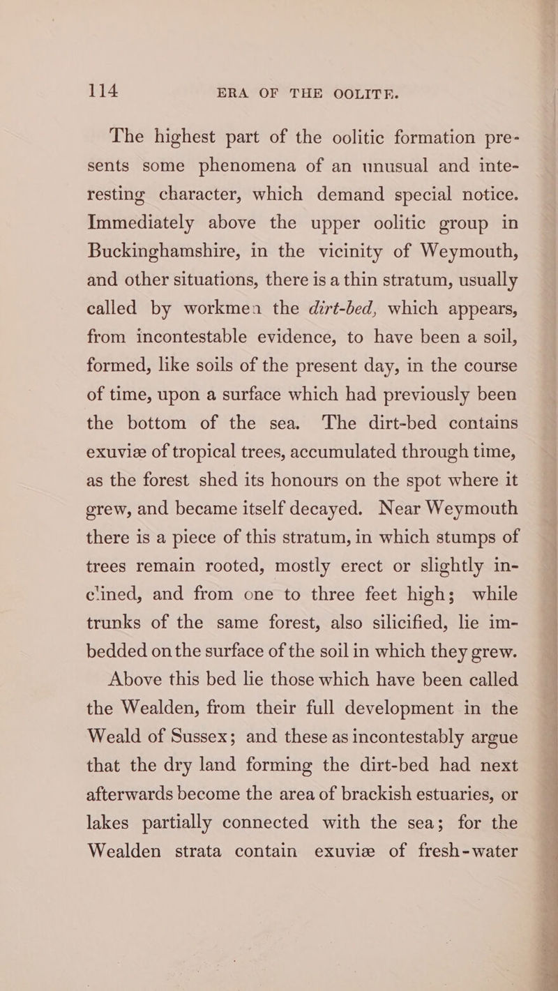 The highest part of the oolitic formation pre- sents some phenomena of an unusual and inte- resting character, which demand special notice. Immediately above the upper oolitic group in Buckinghamshire, in the vicinity of Weymouth, and other situations, there is a thin stratum, usually called by workmen the dirt-bed, which appears, from incontestable evidence, to have been a soil, formed, like soils of the present day, in the course of time, upon a surface which had previously been the bottom of the sea. The dirt-bed contains exuvie of tropical trees, accumulated through time, as the forest shed its honours on the spot where it grew, and became itself decayed. Near Weymouth there is a piece of this stratum, in which stumps of trees remain rooted, mostly erect or slightly in- clined, and from one to three feet high; while trunks of the same forest, also silicified, lie im- bedded on the surface of the soil in which they grew. Above this bed lie those which have been called the Wealden, from their full development in the Weald of Sussex; and these as incontestably argue that the dry land forming the dirt-bed had next afterwards become the area of brackish estuaries, or lakes partially connected with the sea; for the Wealden strata contain exuvie of fresh-water