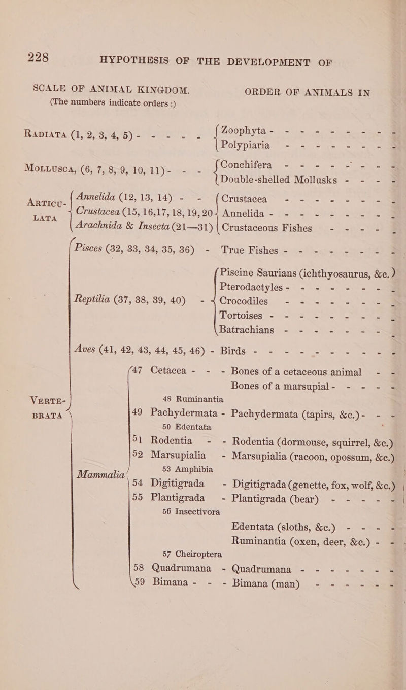 SCALE OF ANIMAL KINGDOM. ORDER. OF ANIMALS IN (The numbers indicate orders 3) RADIATA (1, °3/'8)94,15) ~99 2002 Zooph yta,~. i= >. so. Ss eae Se Polypiaria “.- =< == = =e too Sco) ae ey et rn Mo.uusca, (6, 7, 8,9, 10,11)- - cand : ) Double-shelled Mollusks - - - - Annelida (12, 13, 14) - Crustacea ~ - - = - - liam Crustacea (15, 16,17, 18,19,204 Annelida - - - - - - = - Arachnida &amp; Insecta (21—31) | Crustaceous Fishes - - - - ARTIcu- LATA Pisces (82, 33, 84, 35, 86) - True Fishes:- - -o+ .)202) 9 Piscine Saurians (ichthyosaurus, &amp;c. ) Pterodactyles- - - - - = - J Reptilia (87, 88, 89,40) - 4 Crocodiles - - - -.-.49 Tortoises - = = %-4- “= ee Batrachians = - -) - =< 252 Aves (41, 42,43, 44, 45,46) - Birds - - - - . =. = 47 Cetacea - - - Bones of a cetaceous animal Bones of amarsupial- - - - - VERTE- 48 Ruminantia Pua 49 Pachydermata - Pachydermata (tapirs, &amp;c.) - 50 Edentata 51 Rodentia - - Rodentia (dormouse, squirrel, &amp;¢.) 52 Marsupialia - Marsupialia (racoon, opossum, &amp;c.) 53 Amphibia Mammalia’ 55 Plantigrada ~- Plantigrada(bear) - - - - - 56 Insectivora Edentata (sloths, &amp;c.) - - Ruminantia (oxen, deer, &amp;¢.) - - 57 Cheiroptera 58 Quadrumana - Quadrumana - - - - - - - 59 Bimana- - - Bimana (man) - - - ->=54 |