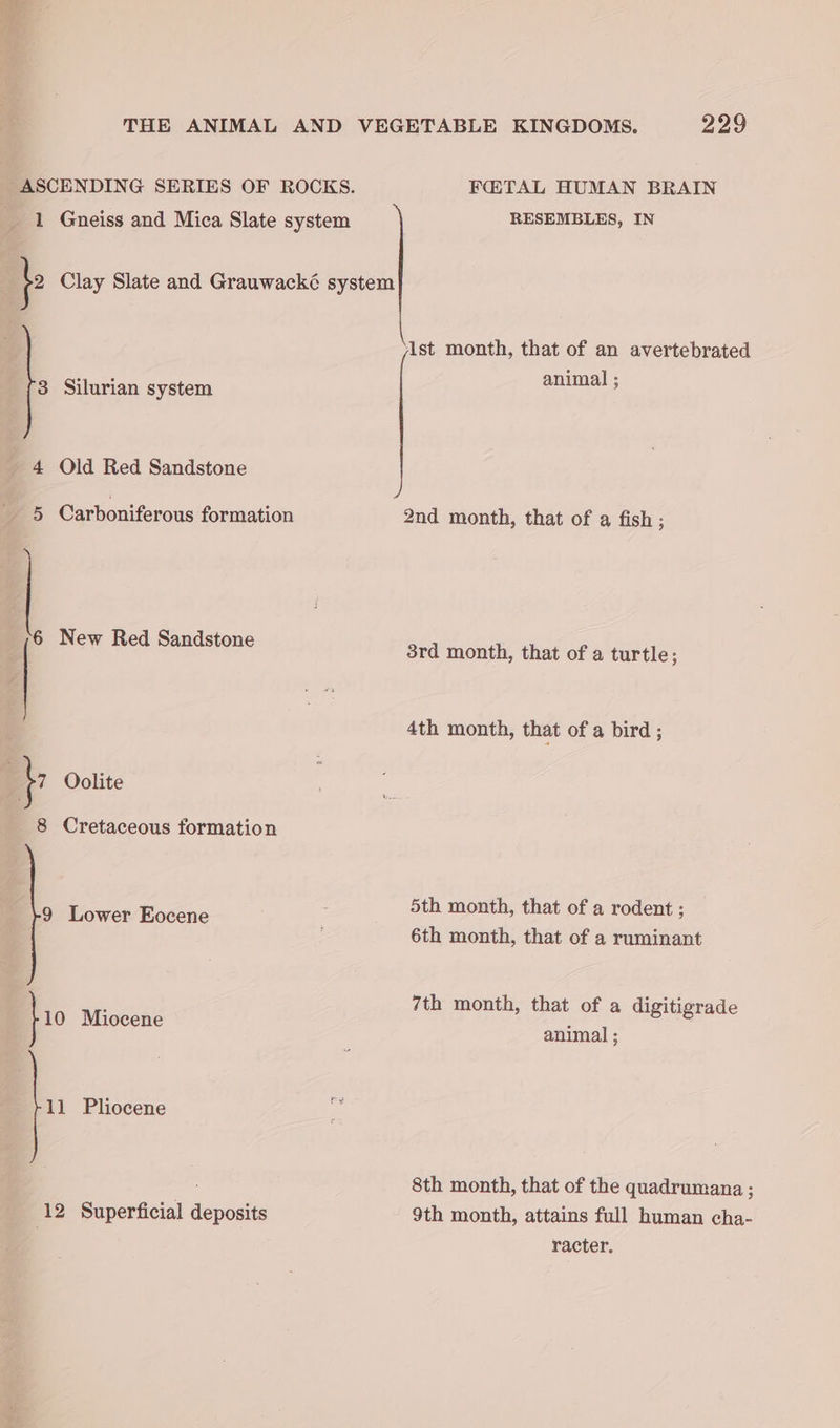 ag THE ANIMAL AND VEGETABLE KINGDOMS. 229 ASCENDING SERIES OF ROCKS. FETAL HUMAN BRAIN 1 Gneiss and Mica Slate system RESEMBLES, IN . is Clay Slate and Grauwacké system ‘lst month, that of an avertebrated a6 animal ; 3 Silurian system ; 4 Old Red Sandstone 5 Carboniferous formation 2nd month, that of a fish ; 6 New Red Sandstone 3rd month, that of a turtle; 4th month, that of a bird ; \; Oolite 8 Cretaceous formation 5th month, that of a rodent ; 9 Lower Eocene ; 6th month, that of a ruminant 7th month, that of a digitigrade animal ; 10 Miocene | 11 Pliocene i 8th month, that of the quadrumana ; 12 Superficial deposits 9th month, attains full human cha- . racter.