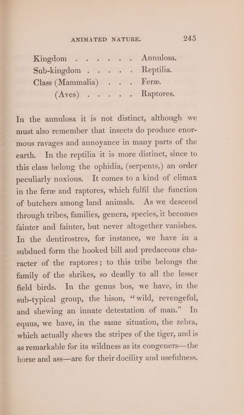 Kingdom © 0s) 220 Annulosa, Sub-kingdom . . . . . Reptilia. Class (Mammalia) . . . Fere. (Arvesy Vo .e8i0 2) o™ Raptores. In the annulosa it is not distinct, although we must also remember that insects do produce enor- mous ravages and annoyance in many parts of the earth. In the reptilia it is more distinct, since to this class belong the ophidia, (serpents,) an order peculiarly noxious. It comes to a kind of climax in the feree and raptores, which fulfil the function of butchers among land animals. As we descend through tribes, families, genera, species, .1t becomes fainter and fainter, but never altogether vanishes. In the dentirostres, for instance, we have in a subdued form the hooked bill and predaceous cha- racter of the raptores; to this tribe belongs the family of the shrikes, so deadly to all the lesser field birds. In the genus bos, we have, in the sub-typical group, the bison, “wild, revengeful, and shewing an innate detestation of man.” In equus, we have, in the same situation, the zebra, which actually shews the stripes of the tiger, and is as remarkable for its wildness as its congeners—the ~ horse and ass—are for their docility and usefulness.