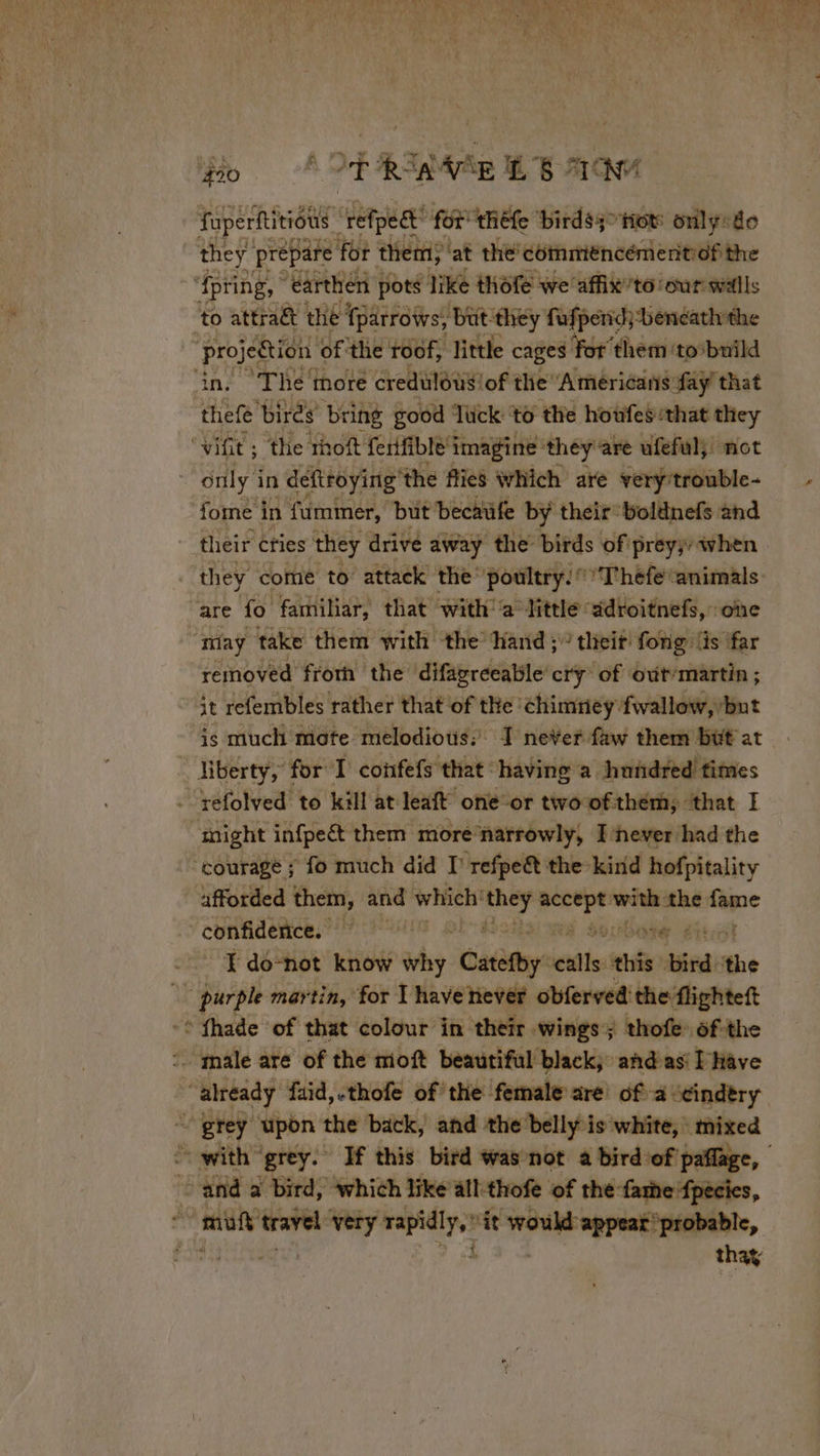 fo ACP RI MAR LE QM fuperftitious | ‘refpedt’ for théfe birds; not onlysde they prepare ‘for them) at the commiéncémeritiof the ‘{pting, © ‘earthen pots I like thofe we affix’to our wills ‘to attra&amp; the fparrows, but they fufpend; beneath the Bete of the roof, little cages For them ‘to*build in, ‘The more credulous of the “Americans fay that tele birés bring good Jück to the houfes that they ‘vifit ; the rhoft ferifible’ imagine: ‘they are ufeful; not ~ only i in deftroying the flies Which are very trouble- fome i in fummer, but becatife by their boldnefs and | their cfies ‘they drive away the birds of preyj/ when they come to attack the’ poultry. © Théfe animals are fo familiar, that with a little: adroitnefs, one “may take them with the hand; theif! fong lis far removed froth the difagreeable cry: of out’martin ; it refembles rather that of the: ‘chimney fwallow,’ but . Hberty, for T coñfefs that having a hundred times . yefolved to kill at leaft one or two ofthem, that I ‘might infpeét them more narrowly, I ‘never had the ‘courage ; fo much did I’ refpe&amp;t the kind hofpitality afforded “HS and which: oe i with mit îme . ¥do-not know vey Catefby. jui this ee the EP purple martin, for I have never obferved: the flighteft -* fhade of that colour in their wings; thofe 6f-the “male are of the moft beautiful black; and as Phave already faid,-thofe of’ the female are’ of à “eindèry ~ grey upon the back, and the belly is white, mixed ‘with grey. If this bird was not a bird of paflage, | and a bird, which like all-thofe of the farhefpecies, i mutt travel oi A ‘it OEM Patr sente, | thay