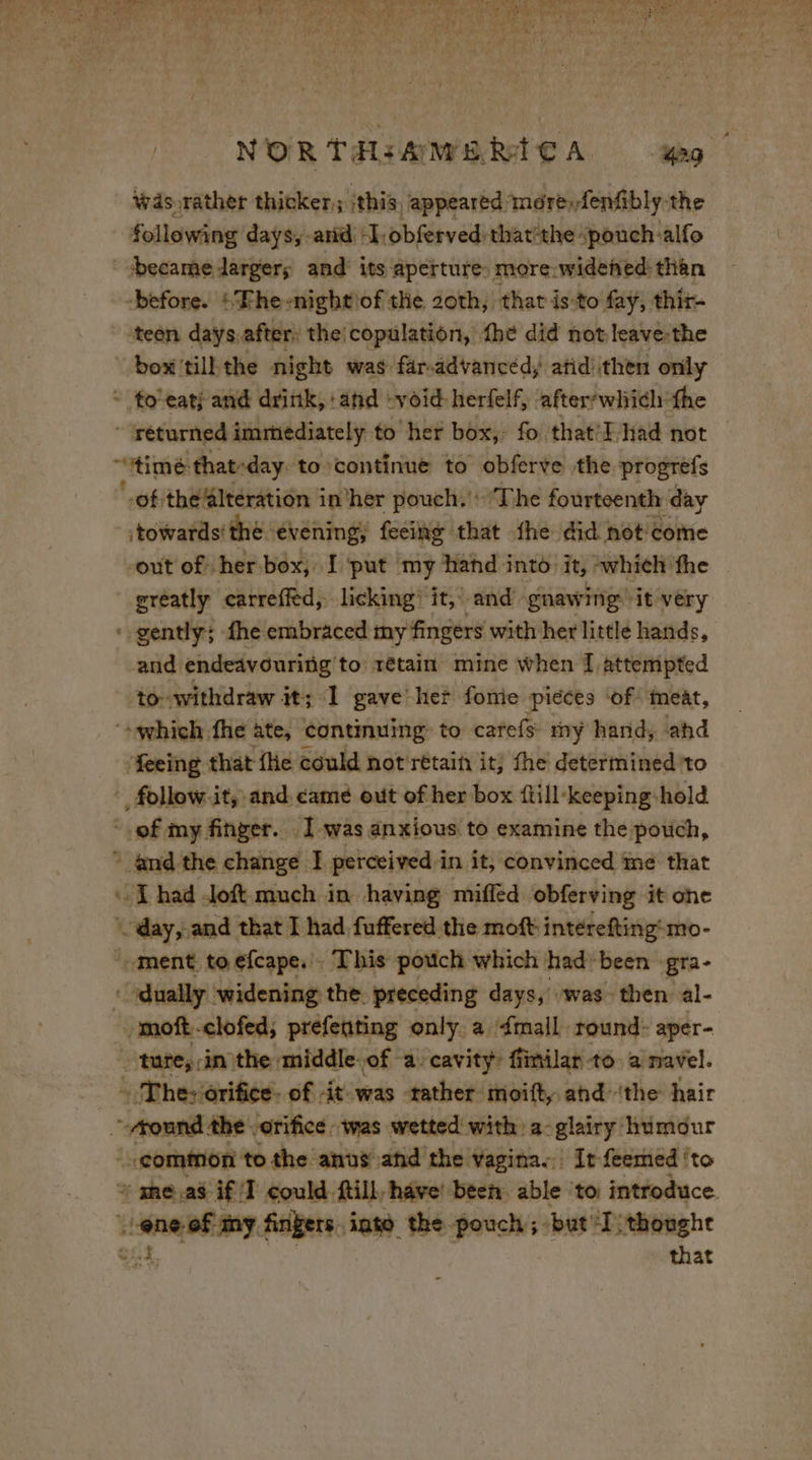 NORTHIAMERTEA wy wads rather thicker, ithis. appeared, mérefenfbly the following days, -arid ‘I, obferved that’the: “pouchalfo became larger; and its aperture: more-wideñed than -before. | Fhe -nightiof the 20th, that isto fay, thir- teen days.after: the copulation, the did not leave-the “box tilkthe night was far-advanced, atid) then only - to-eatj and drink, atid -void- herfelf, afterrwhi¢h: fhe  réturned immediately to her box, fo. that I had not “time: that-day to continue to obferve the progrefs of thé’lteration in’her pouch. The fourteenth day towards: the evening; feeing that fhe did not come out of her. box, L'put my hand into it, ‘which ‘fhe greatly earreffed, licking’ it, and gnawing ‘it very - gently; fhe embraced my fingers with her little hands, and endeavouriig to rétain mine when Î attempted to withdraw it; 1 gave her fomie piéces ‘of meat, which fhe ate, continuing: to carefs my hand, ‘ahd feeing that {ie could not retain it; the determined to _ follow.it, and came out of her box {till keeping hold ‘of my finger. I was anxious to examine the pouch, - andthe change I perceived in it, convinced me that [had -loft much in having miffed obferving it one - day, and that I had fuffered the moft intérefting:mo- ment to éfcape. : This pouch which had been gra- : dually widening the preceding days, was then al- -moft-clofed; prefenting only. a mall round: aper- ture, ;in the middle.of a cavity: fimilar to. a navel. - The: orifice: of it was tather moift, and ‘the hair ~ round the: orifice. was wetted with a-glairy humour “common to the anus and the vaginas, Ir feemed ‘to + méas if T could fill, have! been able to: introduce. Haars: my fingers inte the pouch; -but “To thoughe that