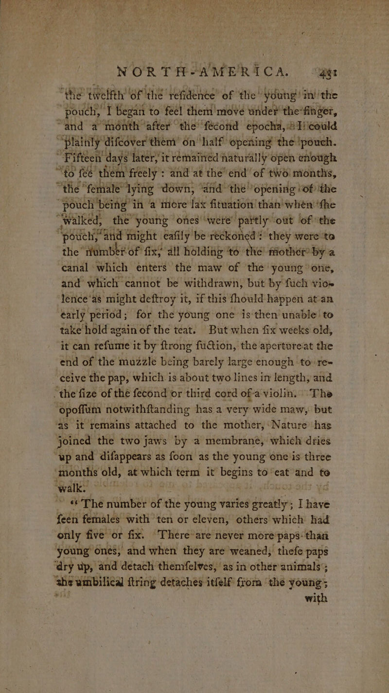 the twelfth’ ‘Of the 'refidence” of ‘the: Young in the pouch, “I Began to feel them move under the’finger, “and a mônth after the fecond epocha, à Tilcould “plainly difcover them on ‘half opening the ‘pouch. Fi ifteen days’ later, it remained naturally open enough “to fee them’ freely : and at the end of two months, “the “female” lying down, ‘and’ the ‘opening ‘of ‘the “pouch being” in ‘a more lax fituation than when ‘the “walked, the young ones ‘were’ partly” ‘out of the SUR and might eafily be: RON : they were ta the Hômtke of fix, all holding to me mother by a canal which enters the maw of the young ‘one, and which cannot be withdrawn, but by fuch viow lence‘as might deftroy it, if this fhould happen at an éarly period; for the young one is then unable’ to take’ hold again of the teat. But when fix weeks old, it can refume it by ftrong fu@ion, the apertureat the end of the muzzle being barely large enough to: re- ceive the pap, which is about two lines in length, and the fize of thé fecond or third cord ofa violin. ‘The opoffam notwithftanding has a very wide maw, but ‘as it remains attached to the mother, Nature has joined the two jaws by a membrane, which dries “up and difappears as foon as the young one is three ‘months at which term it begins to eat an: to 1 The number of the young varies greatly’; ; Lhave fee females With ten or eleven, others which had only five or fix. ‘There are never more paps: thati young ones, and when they are weaned; thefe paps ‘dry up, and detach themfelves, as in other animals + ‘the umbilical ftring detaches itfelf from the young; with