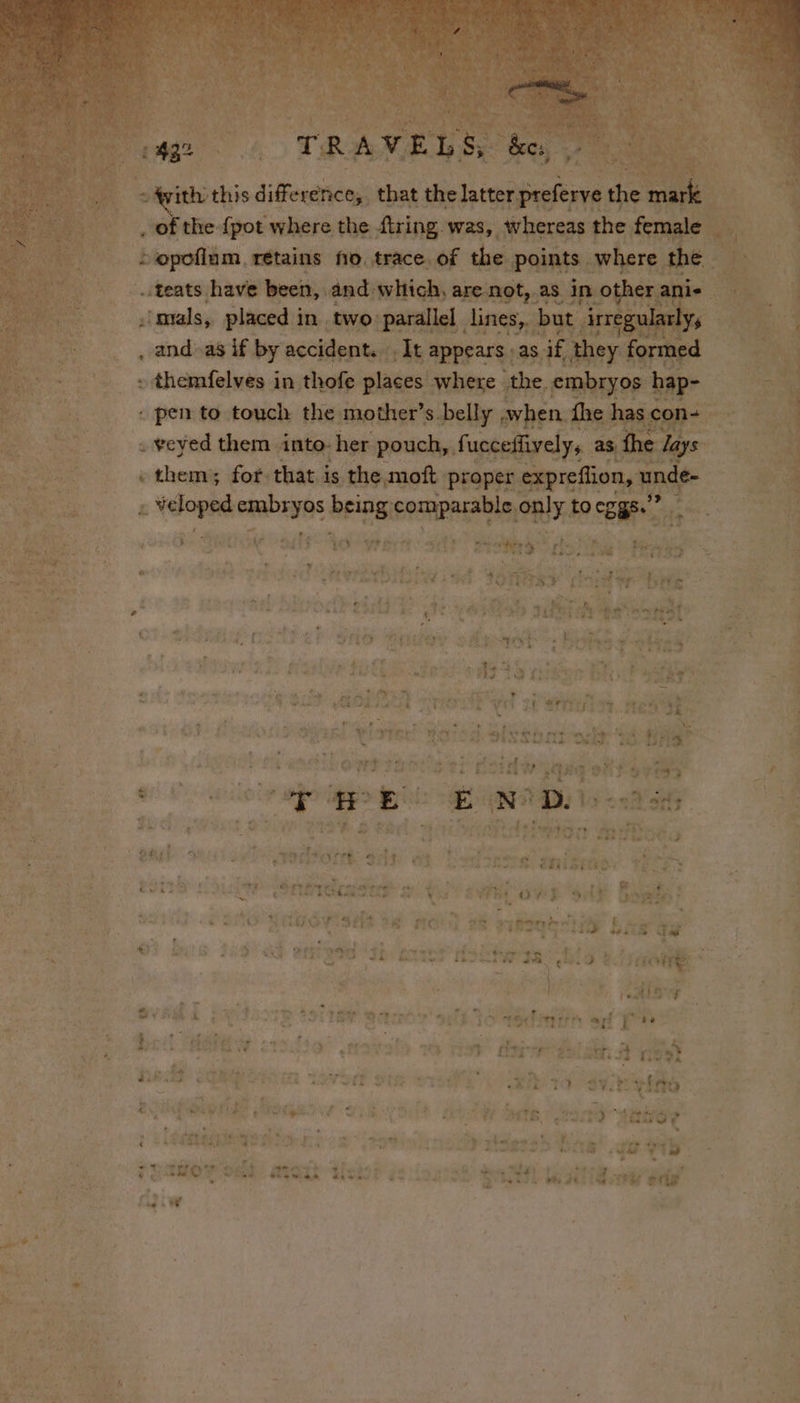 hate à rétains no. res ir teats have been, and: eme ren sommes sise in two, | dpt a hee ghost be »ell = «veyed them into-her pouch, fi ICCE]LVELY 5. ; them; for that. is the moft. prop per expref fion, u u 2 Véopré embryos Re RIRE RAR to eggs.’ : . A Y ede Ts % ep y th ; ; Sas oper | NME { Vv Hits io VAR } ator 3 dope Midi) ad rte. A +: ds a à ie ÿ } Pre ET Be $ E 3 e i 4! INITIÉ CAT : ei tons Y EX Hs + be #: : ee ea à M à ARE E LH à ae af À PEN RE Ter dé x 5 ad ah fais She) &amp; Le me &gt; LL 4 À ; à à 4 Pa tie elke teh . “os ; © vile a wee EN eae $f) Si wore ey a ie 1 af oye ENP TT i PARTAGE EON OR ER Wee Wate EIRE is” A VU LE ar hid “ne « A Le if + * » ot t MTS aot ae SEEMS ete. 2 NA De es 4 fase # fees au 7 N 141 H et J + 4 MT 6 à EVE I &amp; Tr wily a wh : ath mn is “5 gi Lloret: EN mi Hy Ste | : à FT aa AG gout ts - à’ ds 4 EE aw PRES ait : CIS RS: ton MovG iC is? . Fi pone ME Mae Me aR EE NE SRS Mr AS OR RS + Bah IGS eer OME SEP: Of LMS. 2 Hepa. Te és a « = 2 a9 ‘ ay . Aer ate scs + and) ree Ÿ Sy + ay 7 { we * a © 3 Cae LS thatched. de A6 : ows ¥ Dors: } ‘ : ; = * * + Ce Mies) DURE oe ree: Sed A ee a fe Pe : roa Bop A a MAKE ce SO MAO PISE Be WONT at putas hawew &gt; ’ Ps iets 5 yas oe cs M AN &amp; eee oN QE dev mei pos Lu digu: EL : Spe KR ree by Mase Pa eR AS RE he! Seas TEA 23 io 4 28. i à e14 ‘ ‘ aN , ; » 4 tip ’ | | a rte CAC oe ee re 4, 4 + | 1F . Fe LT Sul aad Se MD lt iy - F NET ; = | en CURE GER ST gré ro min af PO 0 # re ve * © | ANT, K de ale à £ RE - s p- ee ; | st ssi ROE cto totals va riot’ Main dit À poet 4 # : . 7e ’ &gt; ey : ve A i { s de à PA Fa 4 n wk + hss we + AY Ste. FI F RIE ; ? SV LEG. , à 5 - Rete ds À fa LA tise nl Lge 453 ie (MTS 2929 Hniviel 5 - ” 4 : My . M ts “et Lies sty I PT MTS TE &gt; pets 5 &amp; vrs Syd be à i ete? we Boe IE PR &gt; ad hs 2 bs yale a ie ea 1 é ey 4 VIS ¢ . LA RE Lg er Été DR dtacch-4 lobe M je ho Te oy 4 : VAT hae © RON EME SERA RE TL TS ~ gees RP TE. | Di 4 erg a od} 3 “ L î : i 4 7 £ a 1. \ a “444 2 EN : : AC us