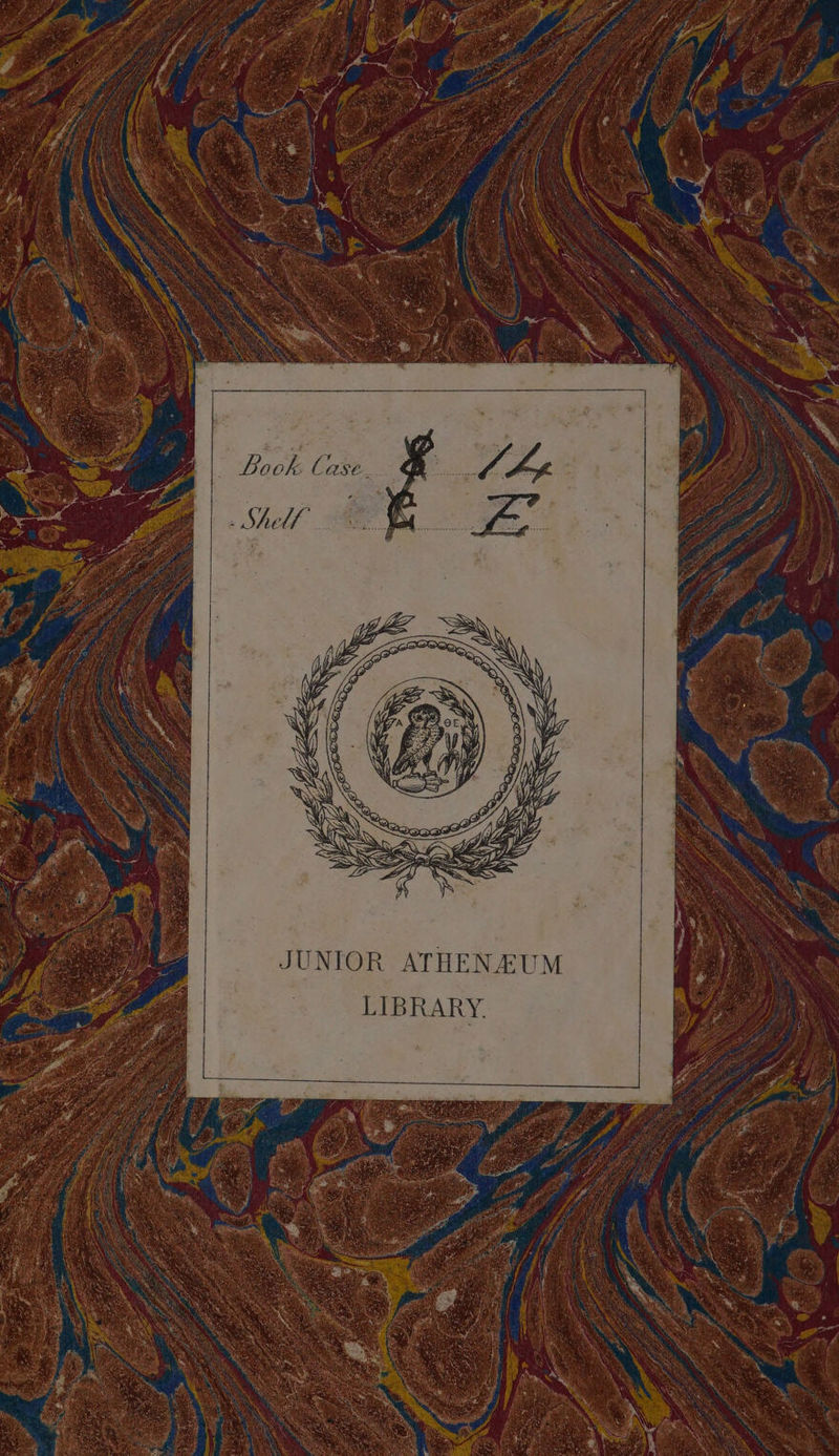 No text description is available for this image