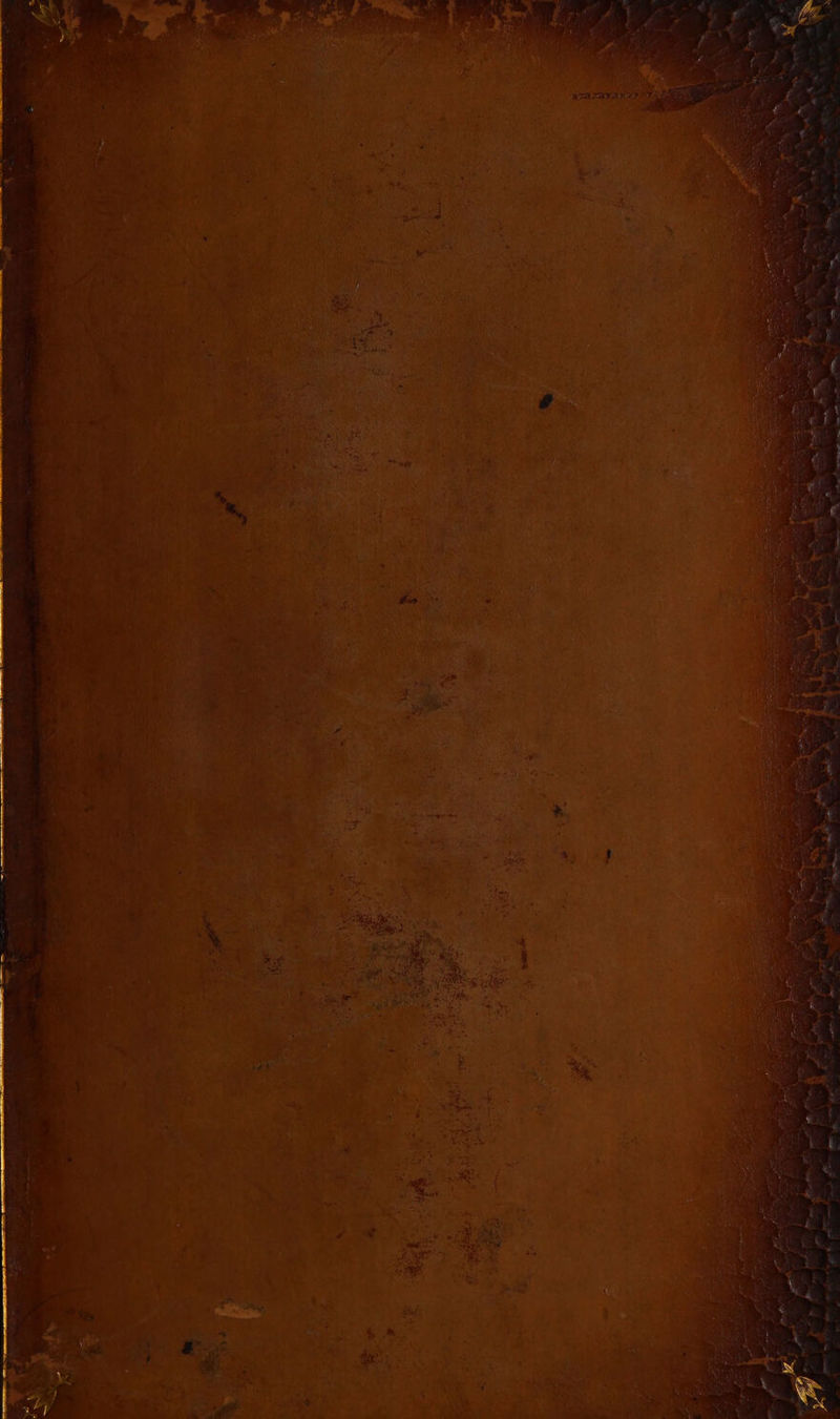 DES TANIA +7 ü. 12 TER AVES