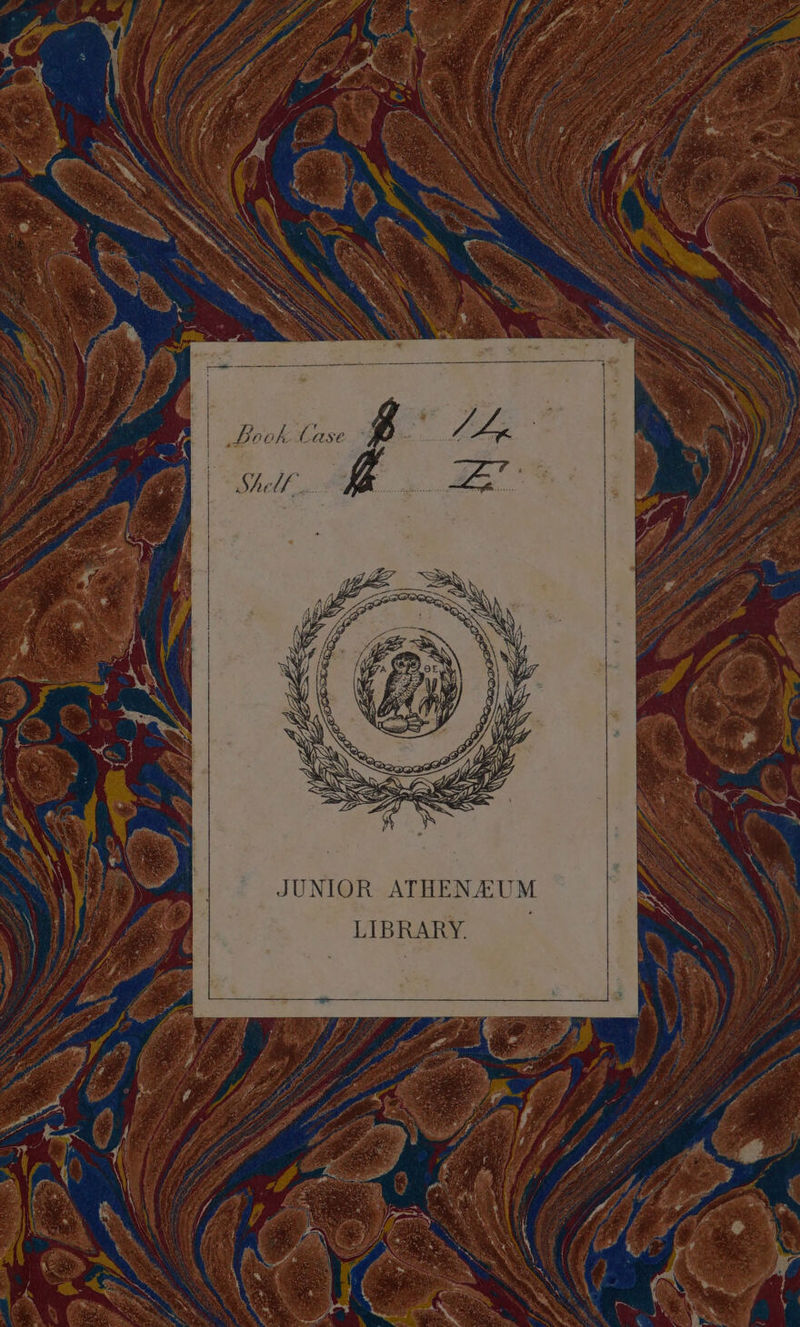 No text description is available for this image