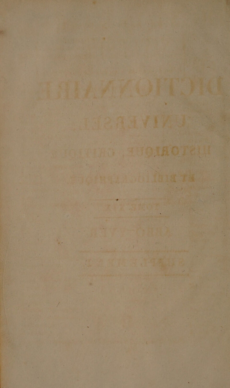 À À PR : Le TZ ; “ ds : SLR ñ | DNS: VE CONRt NS S ris N'a :- y TOR TA ë PAT Te ' 1: y &lt;&lt; I L