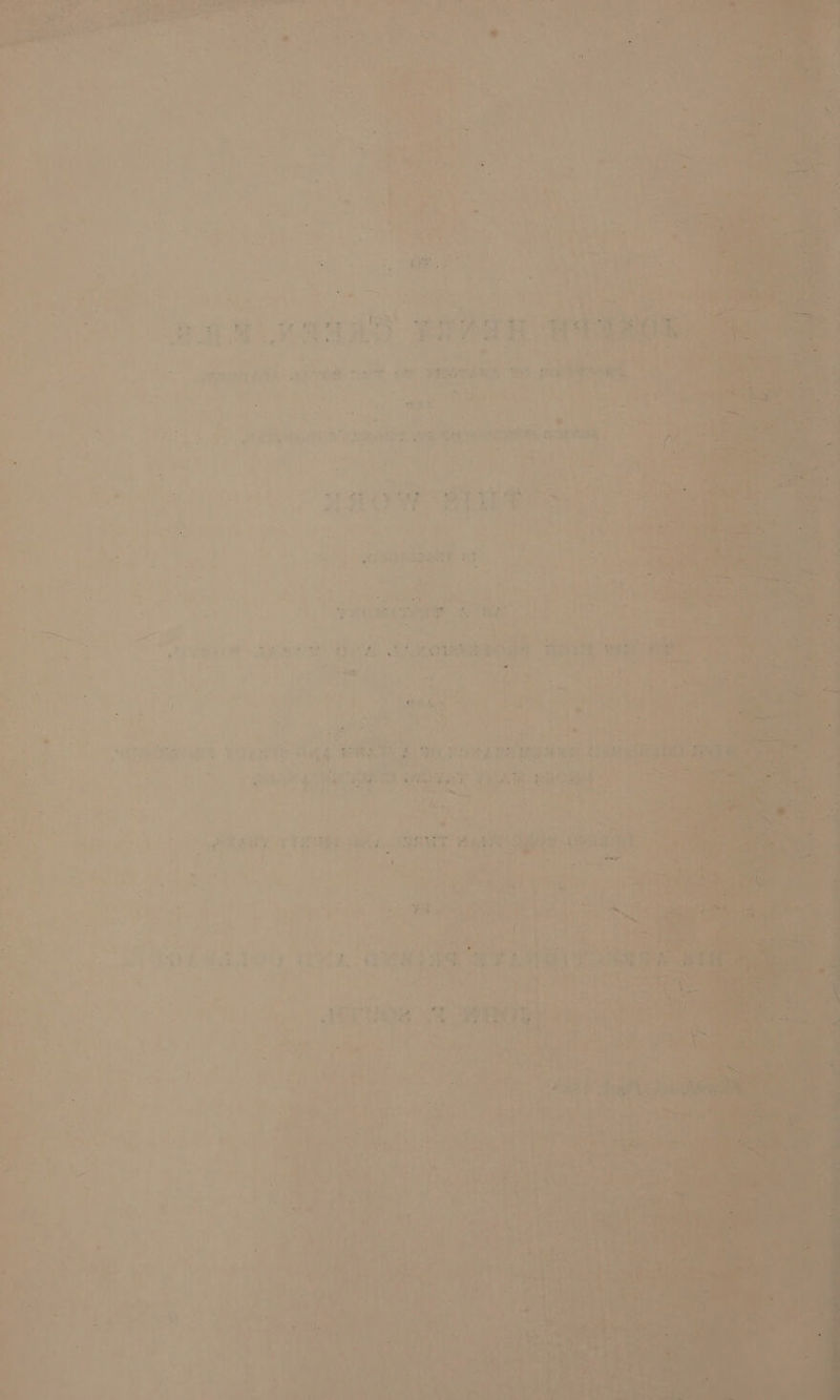 rey « y Ay * ‘ Sore ea hl Ree ee bit. Eonar i ei: por, 2 F , ™ 4 a = —_ . “ : . : : Wee j we : ._ -~ i ~ i 4 ¢ i. c | eer 's * ~ = . } 1 - y > 5 : = ‘ hs eee ‘ : = - : _ - > Ba 7S r 3 ay snc als #09 fe ad > a4 pr 4 A) See Pay S ’ rte eM ALE “Oe wee inert 4s elie . ae wy BL : ; ERs : ’  ee a. »? oa 7 _bavexat Bp eee Se NN sce a Lf * ? ‘ : ? Bs Te ° © <3 ao J STi t t Att PF s Ft <7 a S,4 ; T i! id sv ¥ > aD _ = : f j : ; eH Eee BRE et ; : ‘3 os ee rs ite pe? a Ore tet ee? tab ey tT i Pak ore Bisa’ ont a ji APR an as ‘ Pee: eb any or a ee ‘ ; . “ity ry “3 ¥ #s rp +1 ‘ Path eee Th. romana corer as i a eat “Bie sg al ves. “ie cr se Pig, cay ts Pa shy, VTPARE as ast neg 13) f Ei | Oa vy —