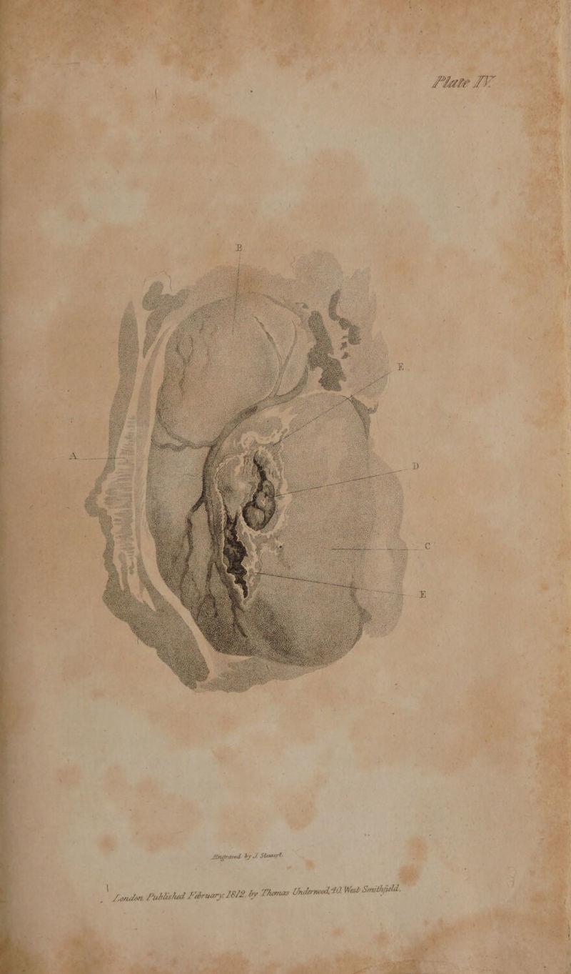. = — ll in 4 pu é he * : “ v , r ¢ ; | Pt § 4 Plate 1 es } i ve te _ : /, @ rs re ; | . 4 *y f ek ' ‘ 7 ka Lingraved by J Stewart, ; ‘ , ra | } | smath field, ‘ ; C -1EL2, by Thomas Uniderwood, 10, West Smathjrela, ; London, Published February, by me vial ae) si! ‘ or -Y) it |