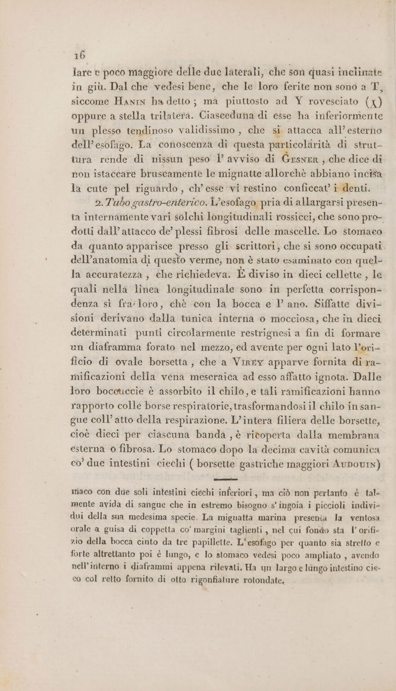 lare e poco maggiore delle due laterali, che son quasi inclinate in giù. Dal che vedesi bene, che le loro ferite non sono a T, siccome Hanrn ha detto; ma piuttosto ad Y rovesciato (Xx) oppure a stella trilatera. Ciasceduna di esse ha iriferiormente un plesso tendinoso validissimo , che si attacca all’esterno dell'esofago. La conoscenza di questa particolarità di strut- tura rende di nissun peso 1’ avviso di Grsver ; che dice di non istaccare bruscamente le mignatte allorchè abbiano incisa la cute pel riguardo, ch’ esse vi restino conficcat’ i denti. 2. Tubo gastro-eriterico. L’esofago pria di allargarsi presen- ta internamente vari solchi longitudinali rossicci, che sono pro- dotti dall’attacco de’ plessi fibrosi delle mascelle. Lo stomaco da quanto apparisce presso gli scrittori, che si sono occupati dell’anatomia di questo verme, non è stato esaminato con quel- la accuratezza ; che richiedeva. È diviso in dieci cellette ; le quali nella linea longitudinale sono in perfetta corrispon= denza sì fra:loro, chè con la bocca e l’ ano. Siffatte divi sioni derivano dalla tiinica interna o mocciosa, che in dieci determinati punti circolarmente restrignesi a fin di formare un diaframma forato nel mezzo, ed avente per ogni lato l’ori- ficio di ovale borsetta, che a Virev apparve fornita di ra- mificazioni della vena meseraica ad esso affatto ignota. Dalle loro boceticcie è assorbito il chilo, e tali ramificazioni hanno rapporto colle borse respiratorie, trasformandosi il chilo in san- gue coll’ atto della respirazione. L’intera filiera delle borsette, cioè dieci per ciascuna banda ,è ricoperta dalla membrana esterna 0 fibrosa. Lo stomaco dopo la decima cavità comunica co’ due intestini ciechi ( borsette gastriche maggiori AuDODvIN) BETTA iaco con due soli intestini ciechi inferiori, ma ciò non pertanto è tal- mente avida di sangue che in estremo bisogno s' ingoia i piccioli indivi- dui della sua medesima specie. La miguatta marina presenta la ventosa orale a guisa di coppetta co’ margini taglienti, nel cui fondo sta l’ orifi- zio della bocca cinto da tre papillette. L'esofago per quanto sia stretto e forte altrettanto poi è lungo, e lo stomaco vedesi poco ampliato , avendo nell'interno i diaframmi appena rilevati. Ha un largo e lungo intestino cie- co col retto fornito di otto rigonfiature rotondate,