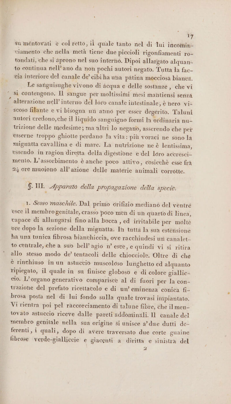 su méntovati © col retto, i quale tanto nel di Tui incoinin: ciamento ‘che nella metà tiene due piccioli rigonfiamenti ro- tondati, che si aprono nel suo interno. Dipoi allargato alquan: to continua rell’ano da non pochi autori negato. Tutta la fac- cia interiore del canale de’ cibi ha una pàtina mocciosa bianca. Le sariguisuglie vivono di acqua e delle sostanze , che vi sì contengono. Il sangue per moltissimi mesi mantiensi senza alterazione nell’ interno del Joro canale intestinale, è hero vi scoso filante e vi bisogna utì anno per esser degerito. Taluni autori credono,che il liquido sanguigno formi la ordinaria nu- trizione delle medesime; ma altri lo negano, asserendo che pei esserne troppo ghiotte perdano la vita: più voraci ne sono la mignatta cavallina e di mare. La nutrizione ne è lentissima, essendo in ragion diretta della digestione e del loro aceresci- mento. L’ assorbimento è anche poco attivo, cosicchè esse frà 24 ore muoiono all’azione delle materie animali corrotte. $. HI. Apparato della propagazione della specte. 1. Sesso maschile. Dal primo drifizio mediano del ventré esce il membro genitale, crasso poco men di un quarto di linea, capace di allungarsi fino alla bocca , ed irritabile per molte ore dopo la sezione della mignatta: Th tuttà la sua estérisione ha una tunica fibrosa biantchiccià, ove racchiudesi uri canalet- to centrale, che a suo bell’agio n° esce, e quindi vi si ritira allo stesso modo de’ tentacoli delle chiocciole. Oltre di che è rinchiuso inun astuccio muscoloso lurighetto ed alquanto ripiegato, il quale in su finisce globoso e di colore giallic- cio. L’organo senerativo compariscè al di fuori per la con- trazione del prefato ricettatolo e di un’ eminenza conica fi- brosa posta nel di lui fondo sulla quale trovasi impiantato. Vi rientra poi pel raccorciamento di talune fibre, che il men- tovato astuccio riceve dalle pareti addominali. Il canale del membro genitale nella sua origine si unisce a’ due dutti de- ferenti, i quali, dopo di avere traversato due corte guaine {ibrose verde-gialliccie e giacenti. a diritta e sinistra del | 2