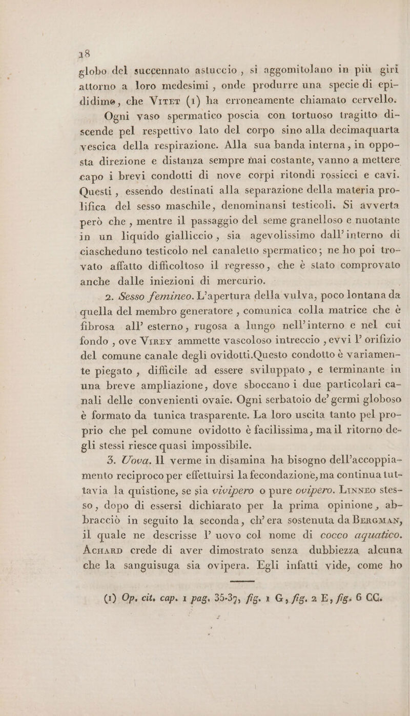 globo del succennato astuccio , sì aggomitolano in più giri attorno a loro medesimi, onde produrre una specie di epi- didime, che Virer (1) ha erroneamente chiamato cervello. Ogni vaso spermatico poscia con tortuoso tragitto di- scende pel respettivo lato del corpo sino alla decimaquarta vescica della respirazione. Alla sua banda interna, in oppo- sta direzione e distanza sempre mai costante, vanno a mettere capo i brevi condotti di nove corpi ritondi rossicci e cavi. Questi, essendo destinati alla separazione della materia pro- lifica del sesso maschile, denominansi testicoli. Si avverta però che, mentre il passaggio del seme granelloso e nuotante in un liavila gialliccio , sia agevolissimo dall'interno di ciascheduno testicolo nel canaletto spermatico; ne ho poi tro- vato affatto difficoltoso il regresso, che è stato comprovato anche dalle iniezioni di mercurio. 2. Sesso femineo. L'apertura della vulva, poco lontana da quella del membro generatore , comunica colla matrice che è fibrosa all’ esterno, rugosa a lungo nell’interno e nel cui fondo , ove Virey ammette vascoloso intreccio , evvi l’ orifizio del comune canale degli ovidotti.Questo condotto è variamen- te piegato , difficile ad essere sviluppato, e terminante in una breve ampliazione, dove sboccanoi due particolari ca- nali delle convenienti ovaie. Ogni serbatoio de’ germi globoso è formato da tunica trasparente. La loro uscita tanto pel pro- prio che pel comune ovidotto è facilissima, mail ritorno de- gli stessi riesce quasi impossibile. 3. Uova. Il verme in disamina ha bisogno dell’accoppia- mento reciproco per effettuirsi la fecondazione, ma continua tut- tavia la quistione, se sia vivipero o pure ovipero. Linnro stes- so, dopo di essersi dichiarato per la prima opinione, ab- bracciò in seguito la seconda, ch'era sostenuta da Bereman, il quale ne descrisse 1’ uovo col nome di cocco aquatico. AcnarDp crede di aver dimostrato senza dubbiezza alcuna che la sanguisuga sia ovipera. Egli infatti vide, come ho (1) Op, cit. cap. 1 pag. 35-37; fig. 1 G, fig. 2 E, fig: 6 CG. P