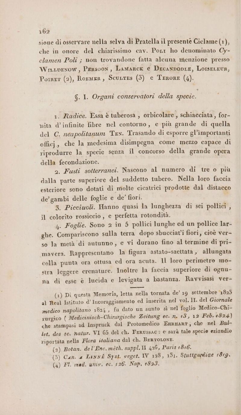 sione di osservare nella selva di Pratella il presente Ciclame (1), che in onore del chiarissimo cav. Porri ho denominato Cy- celamen Poli ;} non trovandone fatta alcuna menzione presso WruLvenow, Pensoon, Lamarox e DecanpopLe, LorseLEUR, Porrer (2), Roemer, ScuLres (3) e Tenore (4). G. I. Organi conservatori della specie. 1. Radice. Essa è tuberosa , orbicolare , schiacciata , for- mita d’infinite fibre nel contorno, e più grande di quella del C. neapolitanum Try. Trasando di esporre gl’importanti officj,, che la medesima disimpegna come mezzo capace di riprodurre la specie senza il concorso della grande opera della fecondazione. o. Fusti sotterranei. Nascono al numero di tre o più dalla parte superiore del suddetto tubero. Nella loro faccia esteriore sono dotati di molte cicatrici prodotte dal distacco de’ gambi delle foglie e de’ fiori. | 3. Picciuoli. Hanno quasi la lunghezza di sei pollici , il colorito rossiccio, e perfetta rotondità. n. Foglie. Sono 2 in 5 pollici lunghe ed un pollice lar- ghe. Compariscono sulla terra dopo sbucciat'i fiori, cioè ver- so la metà di autunno, e vi durano fino al termine di pri- mavera. Rappresentano la figura astato-saettata , allungata colla punta ora ottusa ed ora acuta. Il loro perimetro mo- stra leggere crenature. Inoltre la faccia superiore di ognu- na di esse è lucida e levigata a bastanza. Ravvisasi ver- (1) Di questa Memoria, letta nella tornata de’ 19 settembre 1825 2) Real Istituto d’ Incoraggiamento ed inserita nel vol, II. del Giornale medico napolitano 1824, fa dato un sunto sì nel foglio Medico-Chi- rurgico ( Medicinisch-Chirurgische Zeitung ec. n. 13, 19 Feb. 4824) che stampasi ad Inspruck dal Protomedico Enmrmart, che nel Bul- let. des sc. natur. VI 65 del ch. FeRUssAC : © sarà tale specie eziaudio riportata nella Flora italiana dal ch. BERTOLONE. (2) Botan. del’Enc. méth. suppl. 11 426, Paris 1816. (3) Cur. 4a Linné Syst. veget. IV 128, 131. Stuttgardiae 1819. (4) FI. med, univ, ec. 126. Nap, 1993,