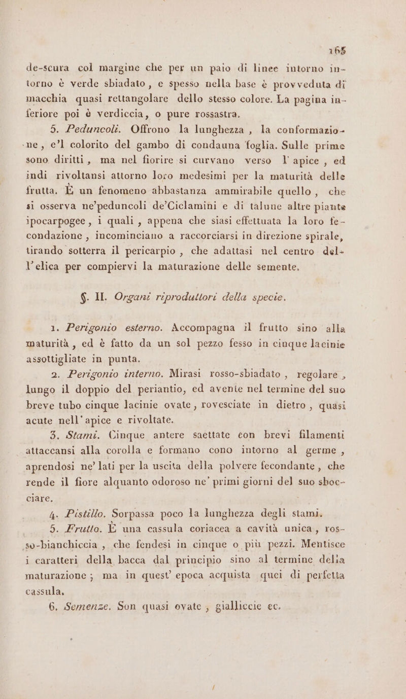 de-scura col margine che per un paio di linee intorno in- torno è verde sbiadato , e spesso nella base è provveduta dî macchia quasi rettangolare dello stesso colore. La pagina in- ieriore poi è verdiccia, o pure rossastra. 5. Peduncoli. Offrono la lunghezza, la conformazio- ‘ne, el colorito del gambo di condauna foglia. Sulle prime sono diritti, ma nel fiorire si curvano verso l'apice , ed indi rivoltansi attorno loro medesimi per la maturità delle frutta. È un fenomeno abbastanza ammirabile quello, che sì osserva ne’ peduncoli de’Ciclamini e di talune altre piante ipocarpogee , 1 quali, appena che siasi effettuata la loro fe - condazione , incominciano a raccorciarsi in direzione spirale, tirando sotterra il pericarpio , che adattasi nel centro. del- l’elica per compiervi la maturazione delle semente, $. II. Organi riproduttori della specie. 1. Perigonio esterno. Accompagna ìl frutto sino alla maturità, ed è fatto da un sol pezzo fesso in cinque lacinie assottigliate in punta. 2. Perigonio interno. Mirasi rosso-sbiadato , regolare , lungo il doppio del periantio, ed avenie nel termine del suo breve tubo cinque lacinie ovate, rovesciate in dietro, quasi acute nell’apice e rivoltate. 3. Stami. Cinque antere saettate con brevi filamenti attaccansi alla corolla e formano cono intorno al germe, aprendosi ne’ lati per la uscita della polvere fecondante, che rende il fiore alquanto odoroso ne’ primi giorni del suo sboc- ciare. | 4. Pistillo. Sorpassa poco la lunghezza degli stami. 5. Frutto. È una cassula coriacea a cavità unica, ros- .s0-bianchiccia , che fendesi in cinque o più pezzi. Mentisce i caratteri della bacca dal principio sino al termine delia maturazione ; ma in quest epoca acquista quei di perfetta cassula, 6. Semenze. Son quasi ovate , gialliccie ec.