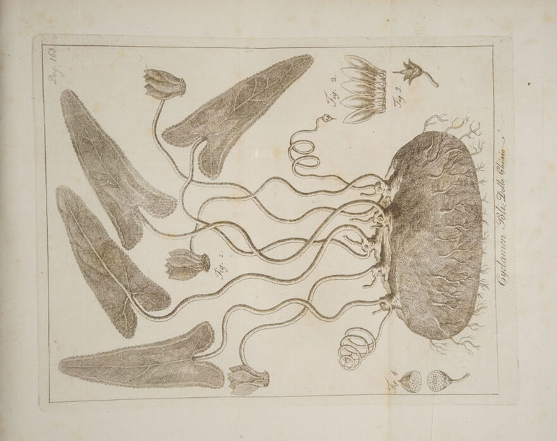 ù I rey ZI 90190796, Ò | v<- 14 DN e e Toe LIA HI dle v) . 3 f; TIA 1 (le Ò vessaio vi 4 Ù ii | ? i = 7 si i Pi LIRA rd ue mirate ® 7 pen im n ea