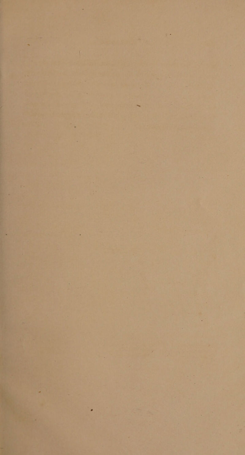 my : ae le ; rae ie haat vaaite 4 &lt;4 é eft * . ie tr bd re) . : 4 ie : : * ; eae PO hit fen ’  ~ * 7 _ ? 2 4 i i &lt; :. ’ ; G nd aa , ; 2 7 ‘ &gt; i |  - . 4 =. o* ame ase &gt;, &gt; ole weed “ 4° * ~ . “ eel - = 7 - | ie » [ ¥ oe Gs 2 ®, “ia &gt; = 3 ay at &gt;» i ea a 4 P ie av  = Ae ee ete +4-¥ &gt; &gt; en a : 7 é . + . lari Seah 2 | 2 ‘ =), a 2 ¥v i © A J ar oe ‘ a Aes 25 Serie c* ie cai St ey ee © &gt; 2 i aya. Try a rot is - as ‘. ? Pat ms 7) s