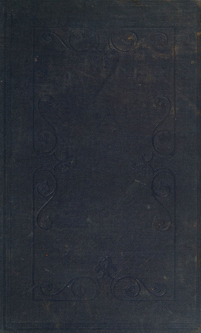 des ecm rw aoe ; eta % bei hie HBG SRI al meray alee Binh oe eae i i ; 4 ile tlal : ¥ i ov! wibiaghbo tpt EF BH Sa ik ere geek eA tee S ynela ; ; ta pid ed - f hy oa ata ss ee thn nese WS oS PEN ae iyi Ae &% » Ae ae ae oF ¥ il Dts sels es £3 a e + Loa arses NA oh Pare Py! ForD Daca sie adcit ak is vets ay wach oo eG ata ar mata MON si Habeas peed G Pe ate * 6 hat ie Ne Coke ey Rea Rather : 2 5 rer ts eS foe, is 4h Be Date OF x4 Me Fa oh AL WN eh AN agegs f th abe ae We Sete Rela tata’ a IW a oh Frat t a , ms : . ou * co Vane CRI ; aR Hegde ty fst fet ‘ Caja Nace 4h heh He ao at oft eS 7 “ie ; ro % * Fr. ~ ey wr. pf, eee 4 oe . pied ve Payne) RY CaY het oe eae aia set ietrive reel alate nts fi, prawn wae 2 hoe ee ¥ e Fy’ ‘ ry, He r Ce Oe. pe Kes A re we i - 7 or ee 2 s y , ae vee ae er r r ? pease Se ee ed Fatereees ‘ heh Rake RS is re Rib ead \ wy r Ae # Race on ORGS ¥ Soules > wiry , On ee uw - ess Ses * tae he ae Furst, es < of Pe OF batyhk , n The NT Oe » ~ Nee ote NNN, AAR Nok ceed NLS ve % poe vor . ee ie ~ ve Pe nee anatiera’ arte a aN, a : ‘ Pa i oy u ae . er vr ma Ae OA ON. = ; < BOs dee AM AS 9 ihe ab oh Me ee , RP SE content ee hod Spe feet Se ete nc ee : : te: arses PP eo t ” , WF altiad ome A AN ee r fos v - - 4 ‘. + Pag Poh af p a Ca 1 Ree eS ar Cee Se PAA RINSE aie Se, yh Be ee Sm