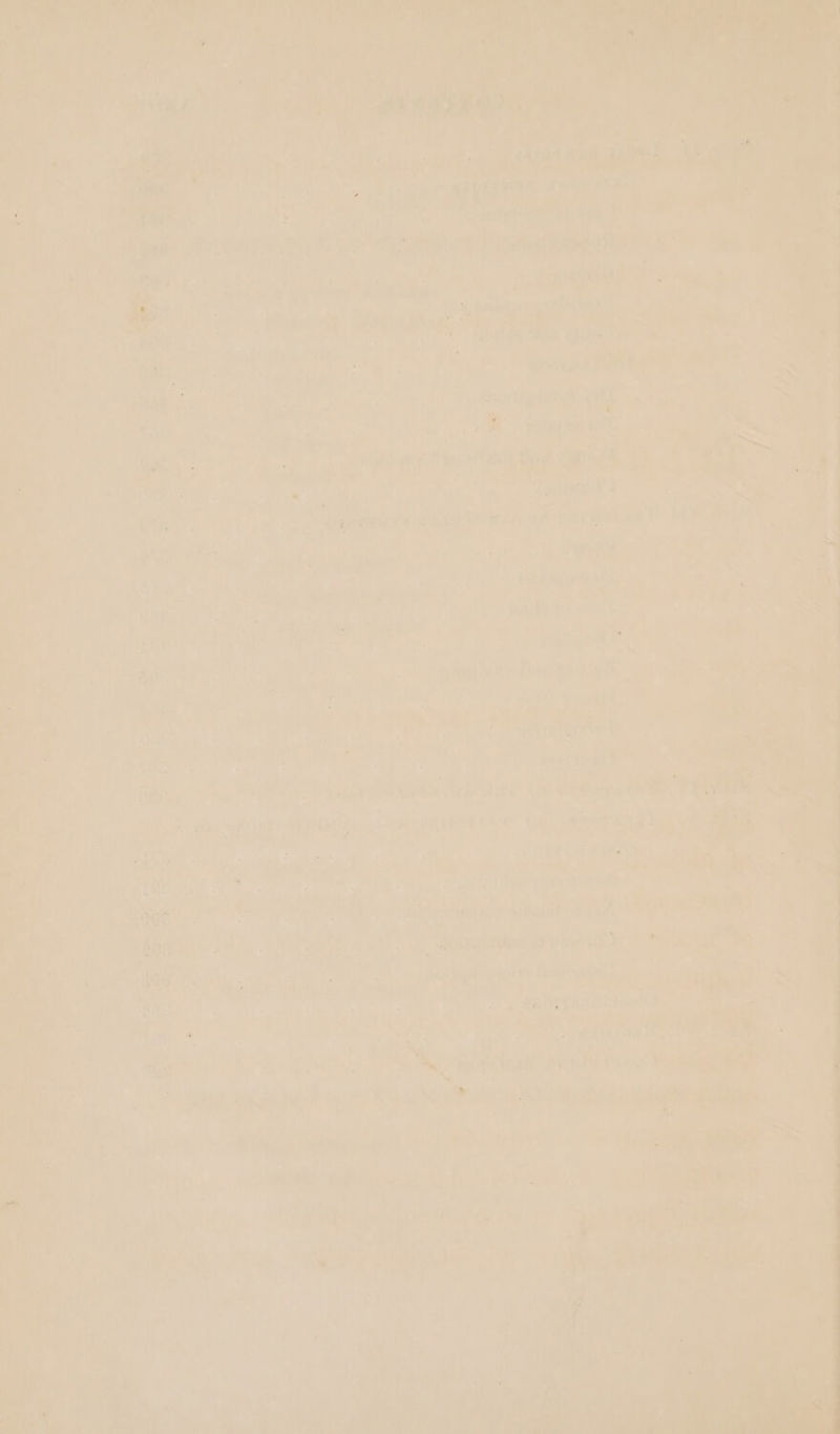 a» oe  2 ae ind: rr ee : a 6 = #] yer ~* ‘ &lt; ioe : _ : j 7 ne AS Ary ie 4 iy? fil = aK, ' ; : 9 Pay 25.) Aaa ary i= ‘