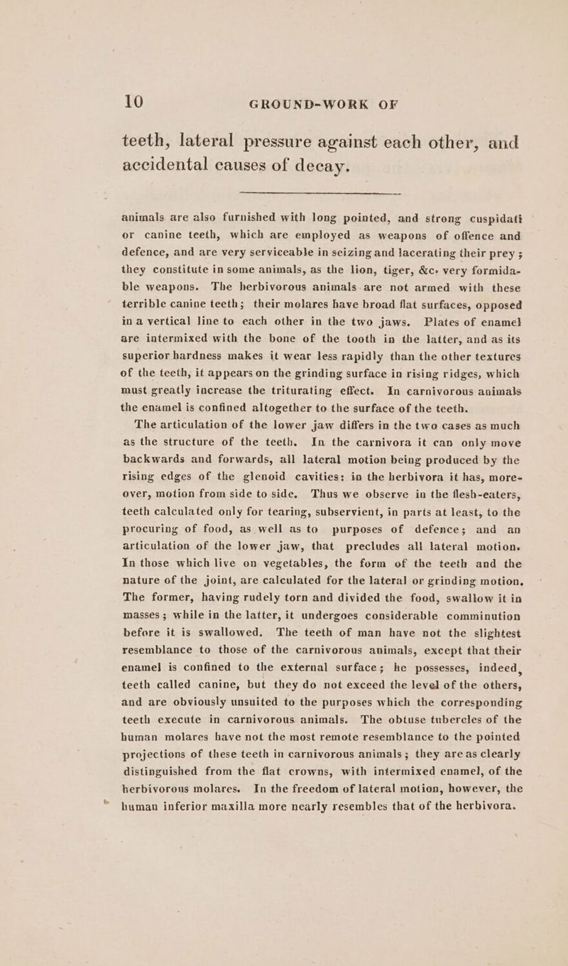 teeth, lateral pressure against each other, and accidental causes of decay. animals are also furnished with long pointed, and strong cuspidati or canine teeth, which are employed as weapons of offence and defence, and are very serviceable in seizing and lacerating their prey ; they constitute in some animals, as the lion, tiger, &amp;c- very formida- ble weapons. The herbivorous animals are not armed with these terrible canine teeth; their molares have broad flat surfaces, opposed in a vertical line to each other in the two jaws. Plates of enamel are intermixed with the bone of the tooth in the latter, and as its superior hardness makes it wear less rapidly than the other textures of the teeth, it appears on the grinding surface in rising ridges, which must greatly increase the triturating effect. In carnivorous animals the enamel is confined altogether to the surface of the teeth. The articulation of the lower jaw differs in the two cases as much as the structure of the teeth, In the carnivora it can only move backwards and forwards, all lateral motion being produced by the rising edges of the glenoid cavities: in the herbivora it has, more- over, motion from side to side. Thus we observe in the flesh-eaters, teeth calculated only for tearing, subservient, in parts at least, to the procuring of food, as well as to purposes of defence; and an articulation of the lower jaw, that precludes all lateral motion. In those which live on vegetables, the form of the teeth and the nature of the joint, are calculated for the lateral or grinding motion, The former, having rudely torn and divided the food, swallow it in masses ; while in the latter, it undergoes considerable comminution before it is swallowed. The teeth of man have not the slightest resemblance to those of the carnivorous animals, except that their enamel] is confined to the external surface; he possesses, indeed, teeth called canine, but they do not exceed the level of the others, and are obviously unsuited to the purposes which the corresponding teeth execute in carnivorous animals. The obtuse tubercles of the human molares have not the most remote resemblance to the pointed projections of these teeth in carnivorous animals; they areas clearly distinguished from the flat crowns, with intermixed enamel, of the herbivorous molares. In the freedom of lateral motion, however, the human inferior maxilla more nearly resembles that of the herbivora.